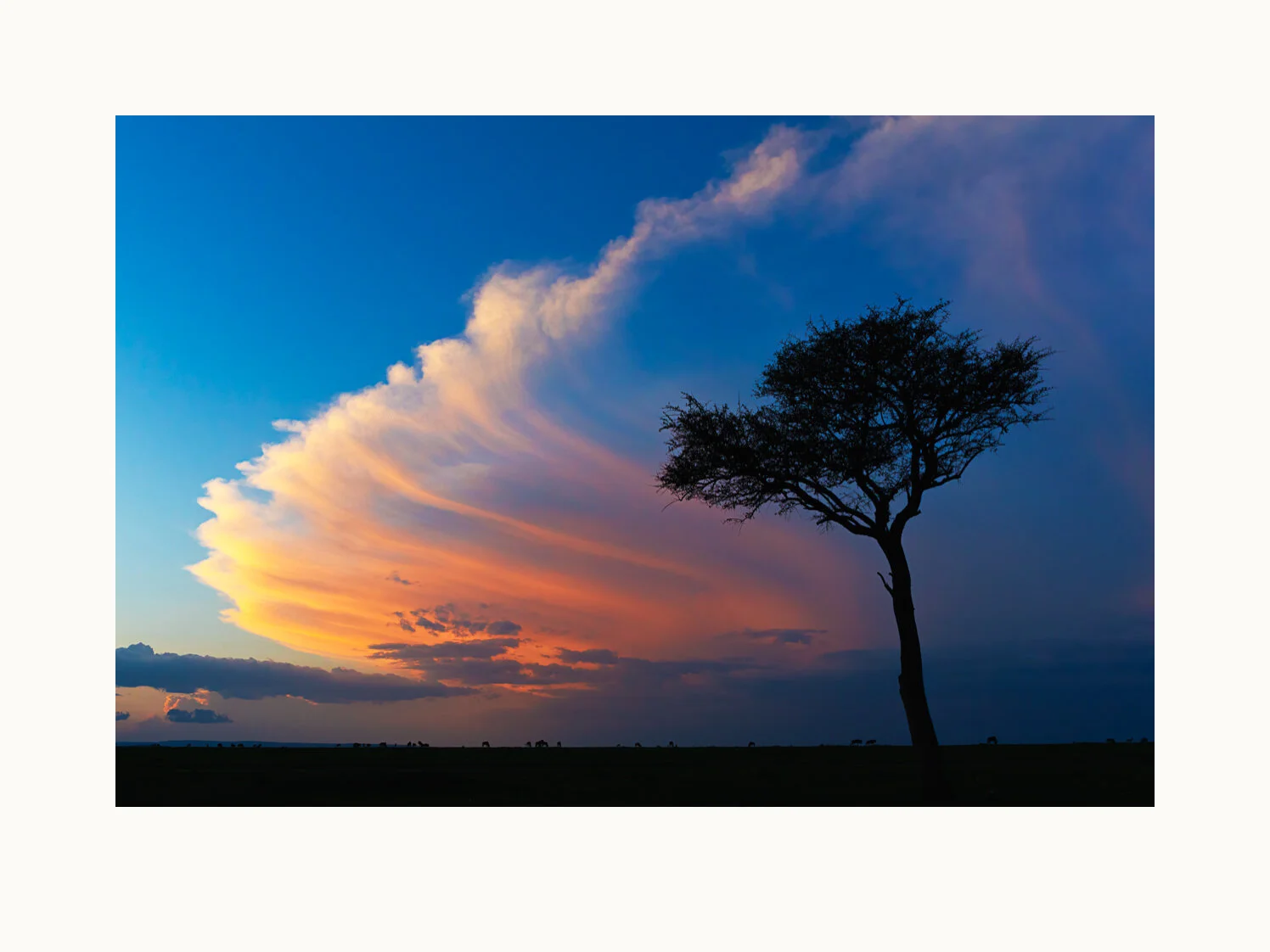 Mara Silhouettes