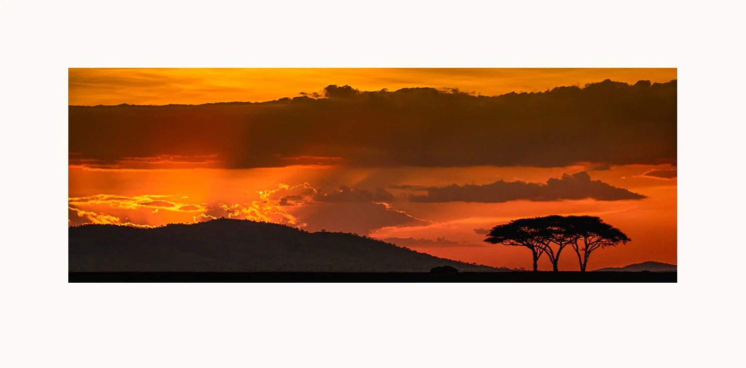 Serengeti Icon