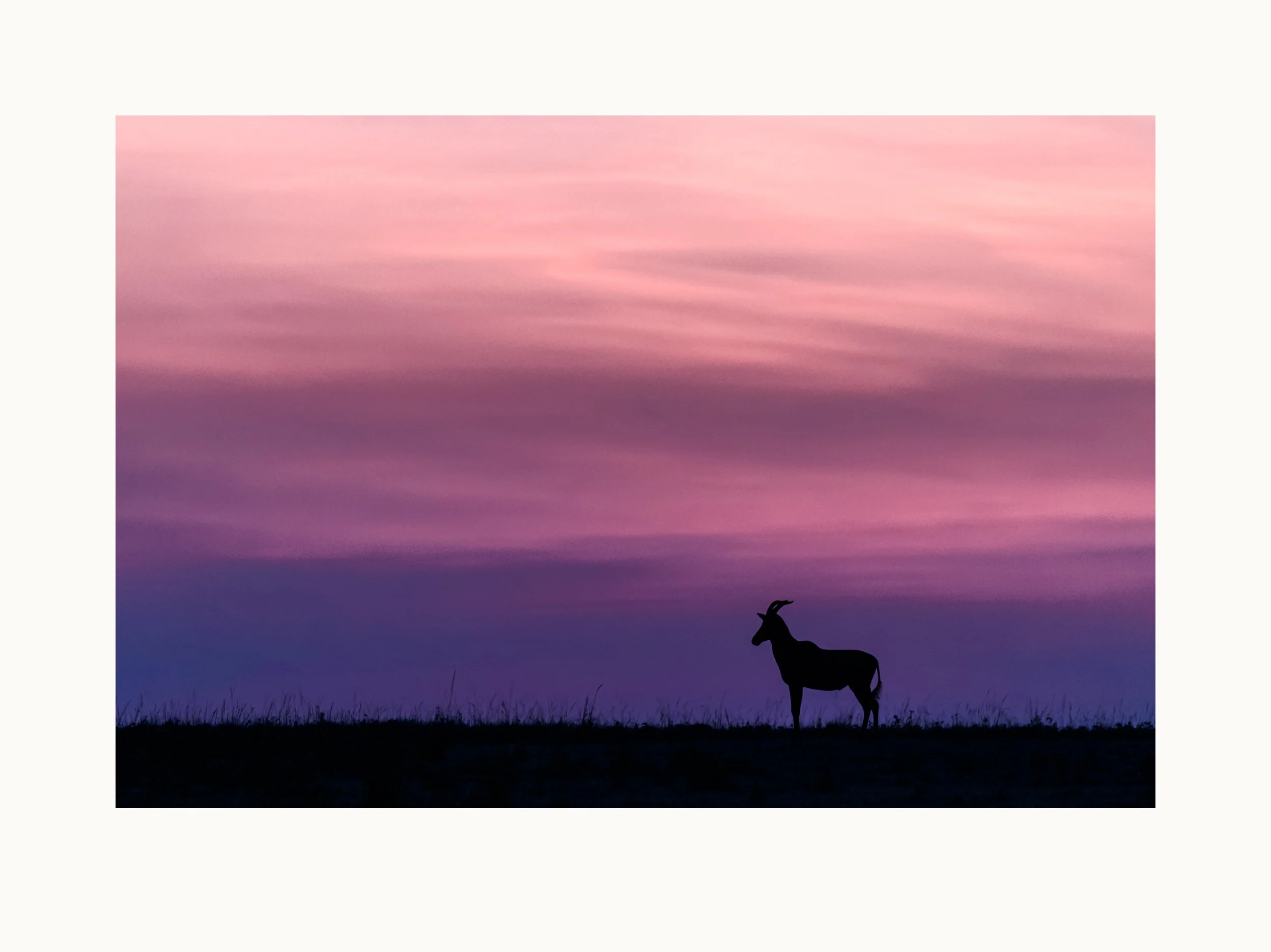 Topi Tapestry
