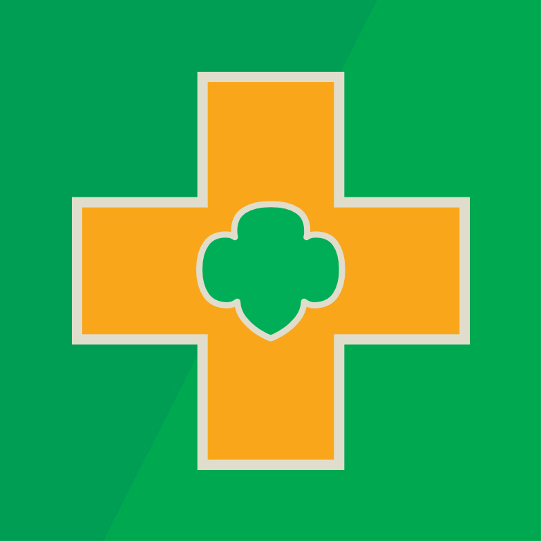 Ambassador Safety Award — GSGI Virtual Programs