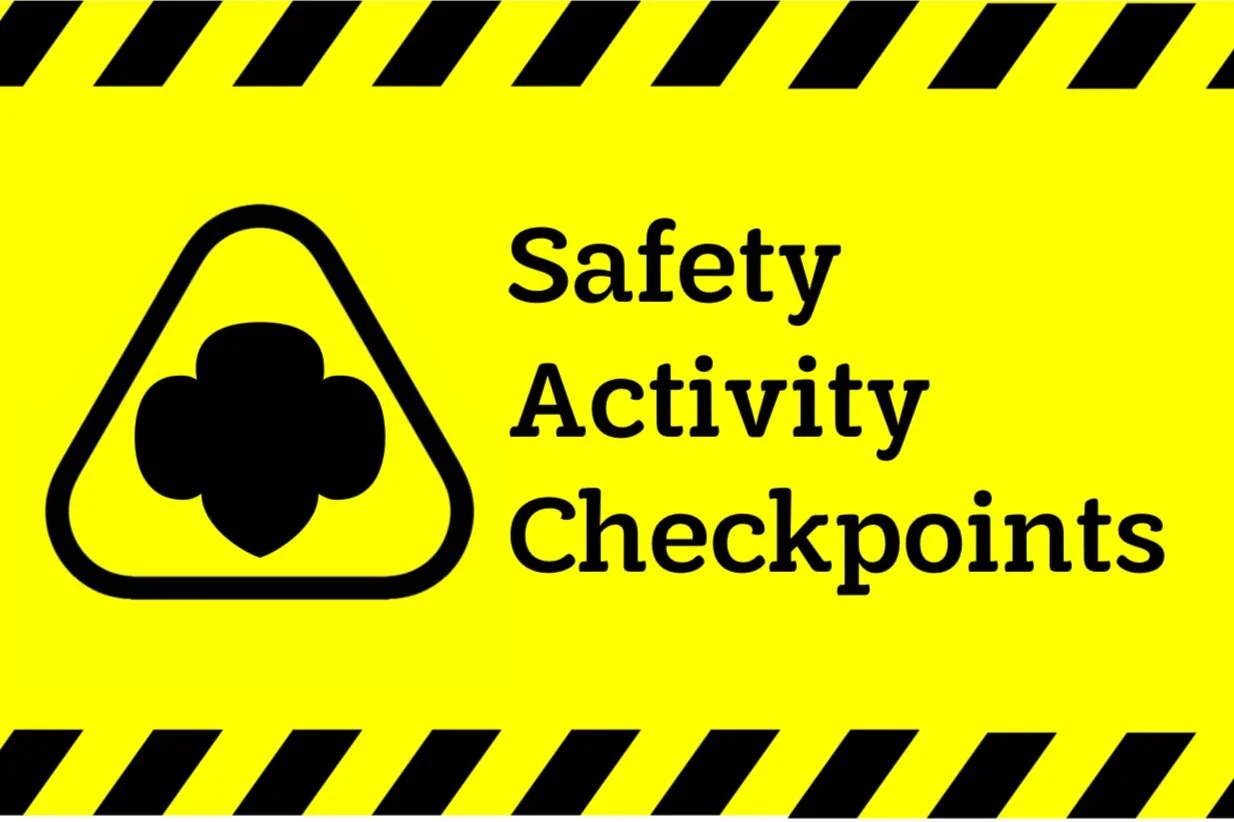 Ambassador Safety Award — GSGI Virtual Programs