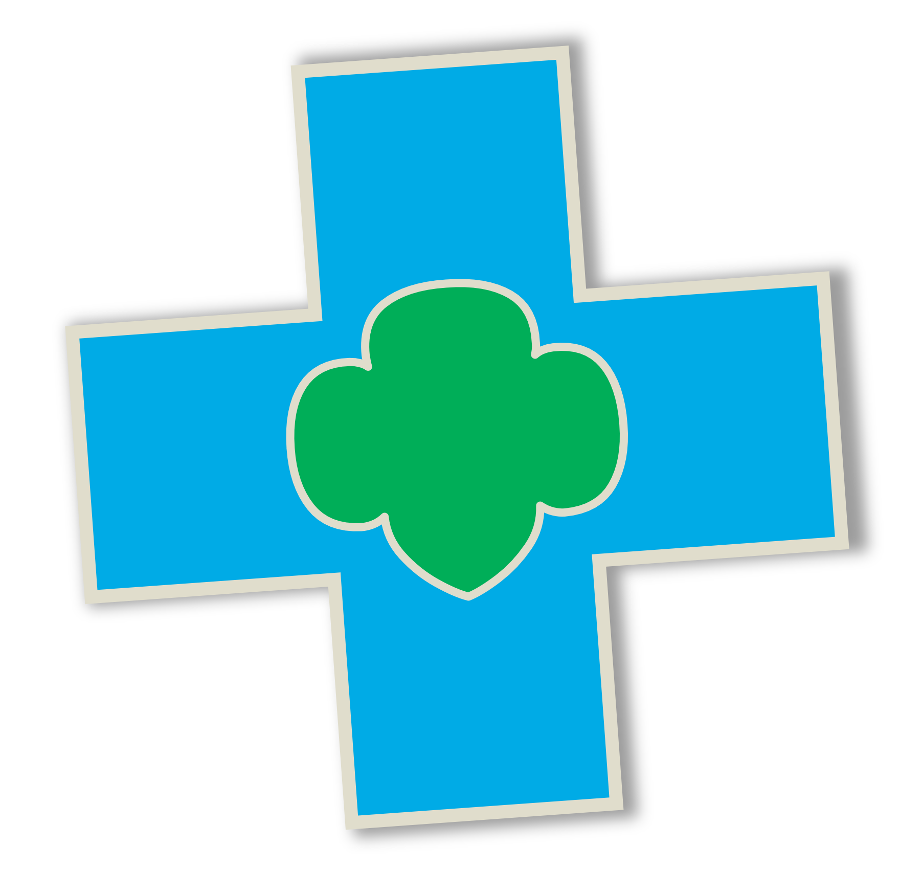 Daisy Safety Award — GSGI Virtual Programs