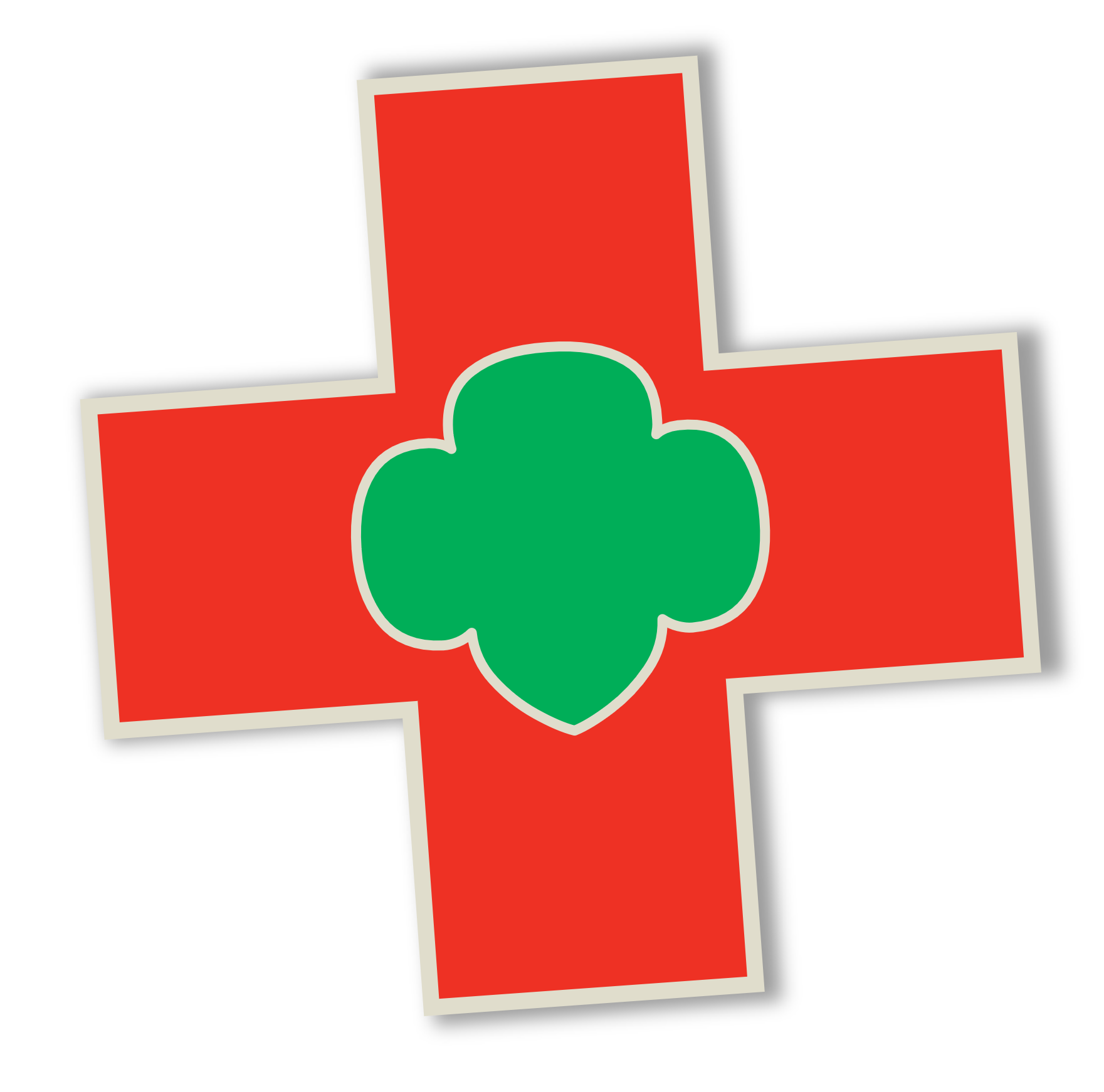 Cadette Safety Award — GSGI Virtual Programs