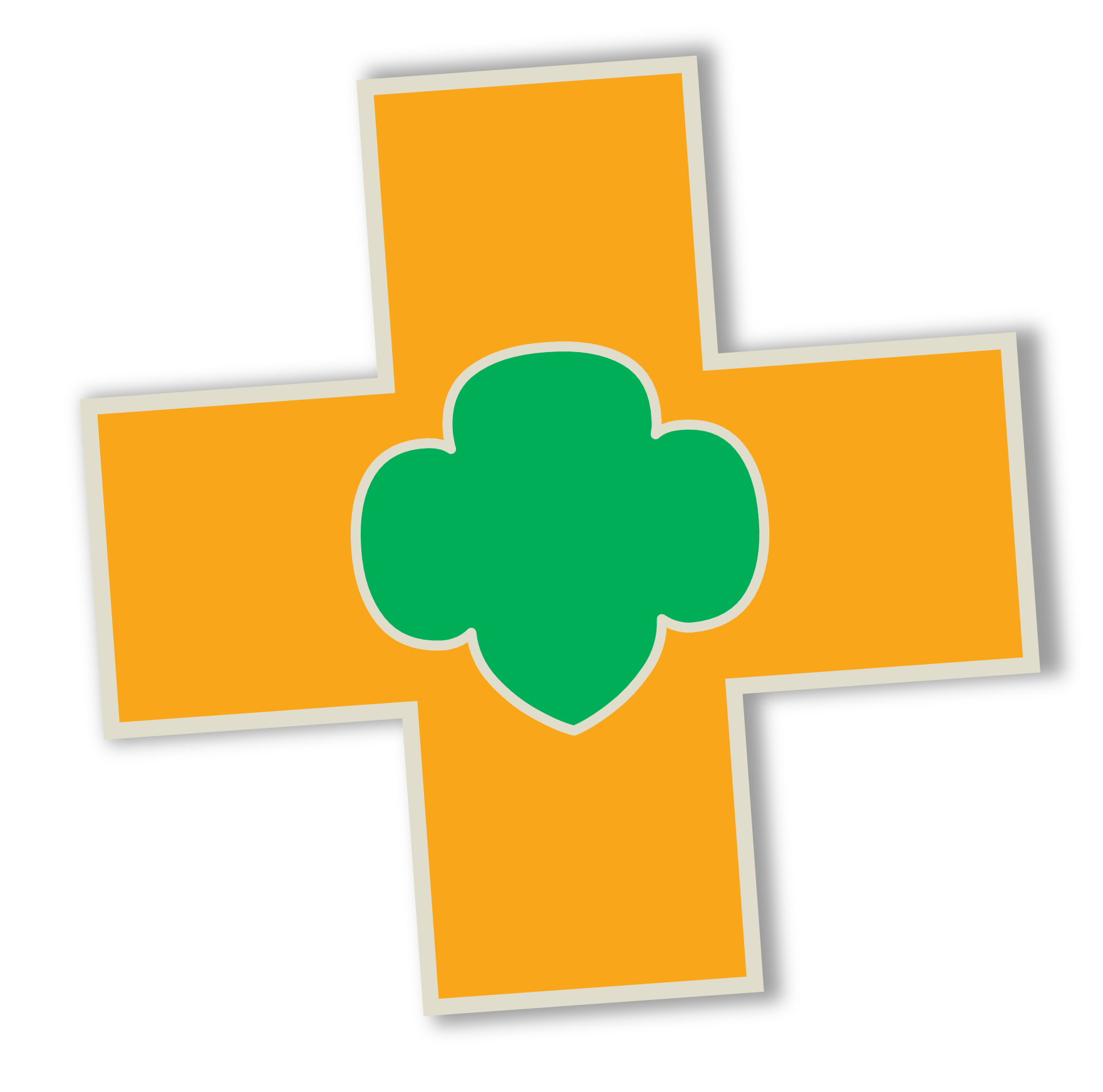 Ambassador Safety Award — GSGI Virtual Programs