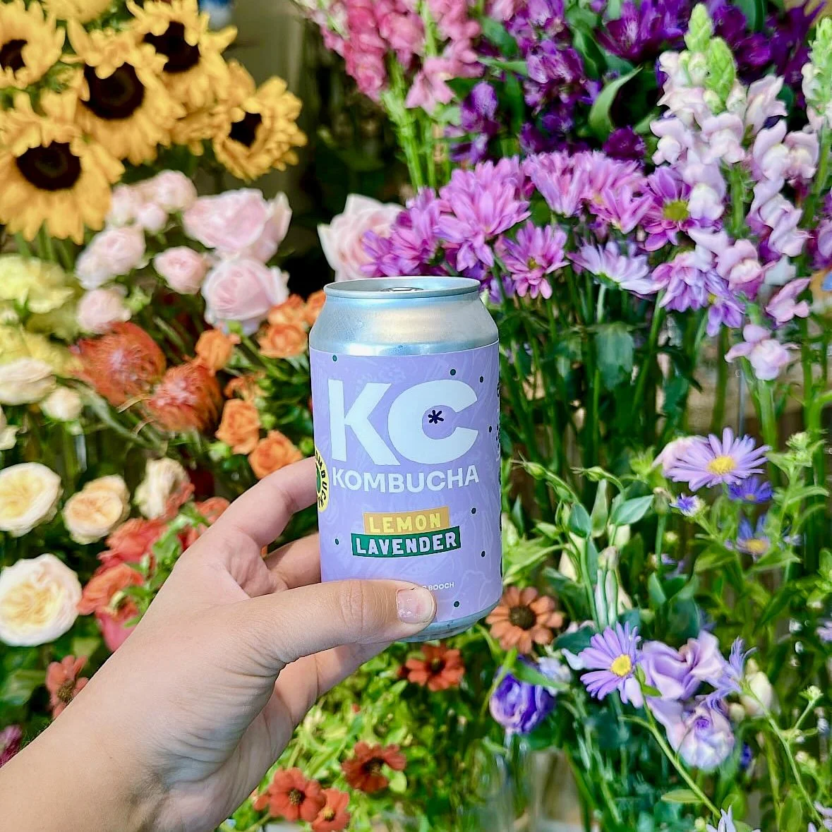 KC Kombucha – 12oz Cans