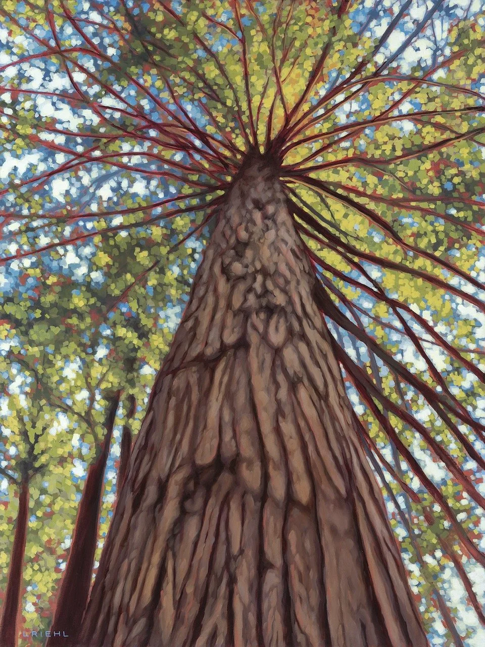 Forest Bathing,  40x30" oil - $3,175 - available at AGGV Rental & Sales