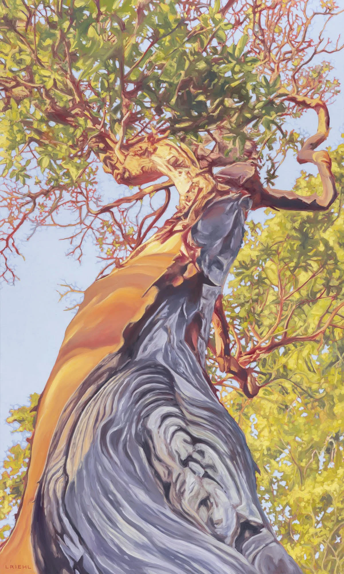 Joyously Unrestrained, 60x36" (sold)