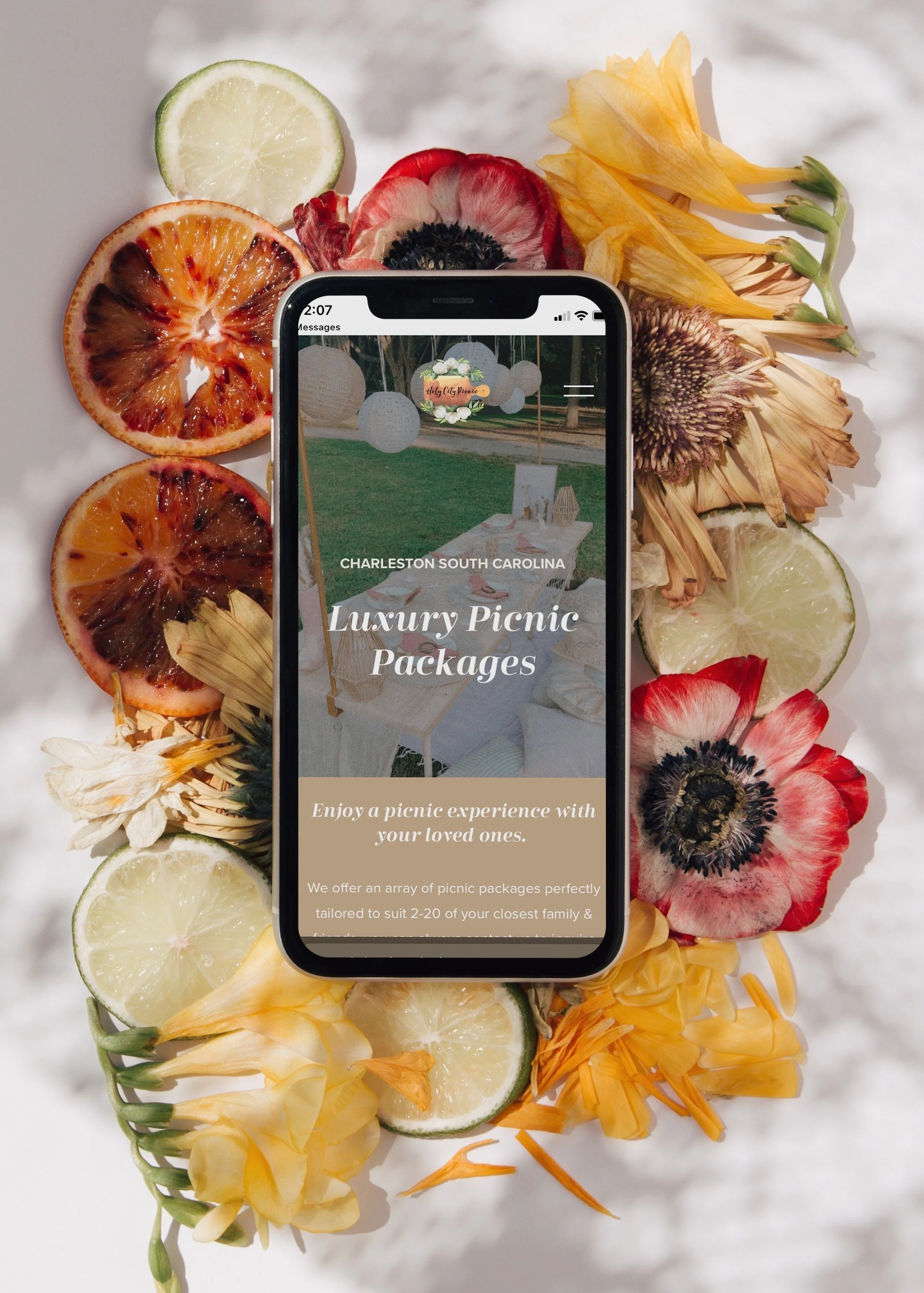 Pop-up Picnic Company Rentals Website Designer