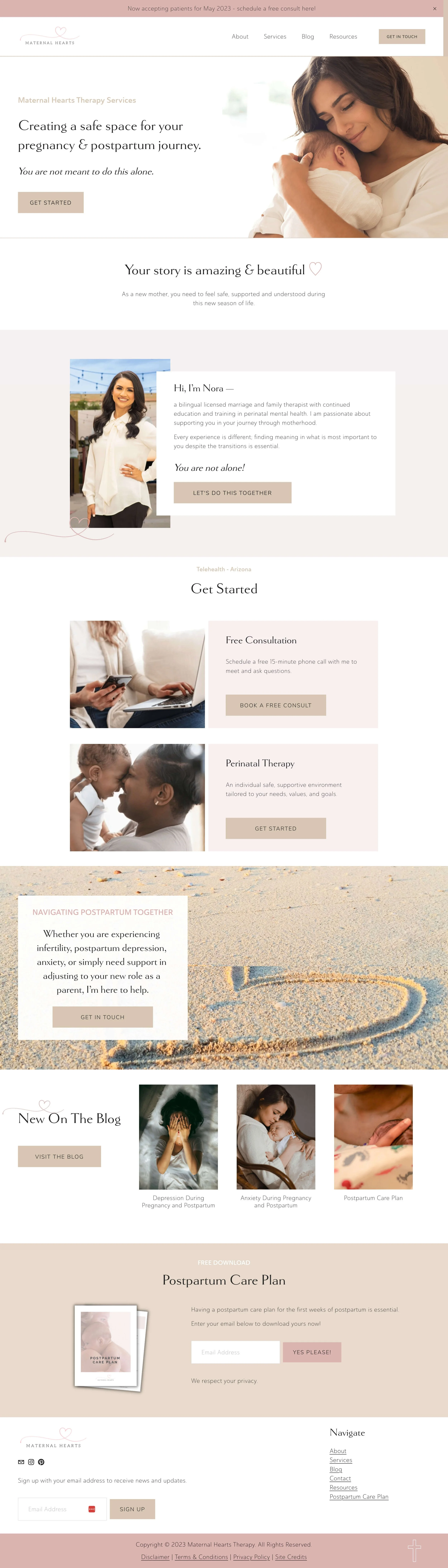 Pregnancy Maternity Therapy Website and logo