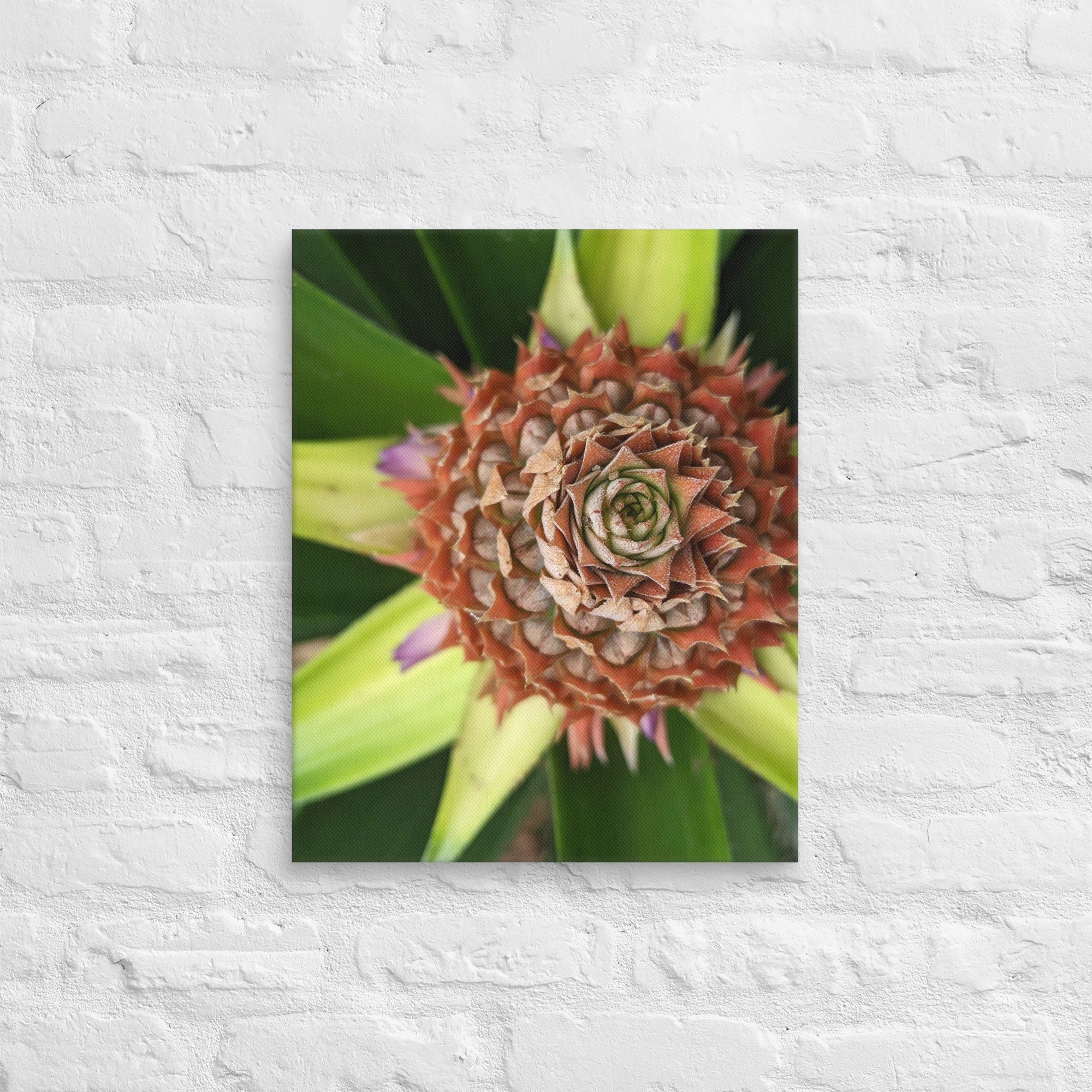 canvas-(in)-16x20-front-6657db40ed2ed.jpg