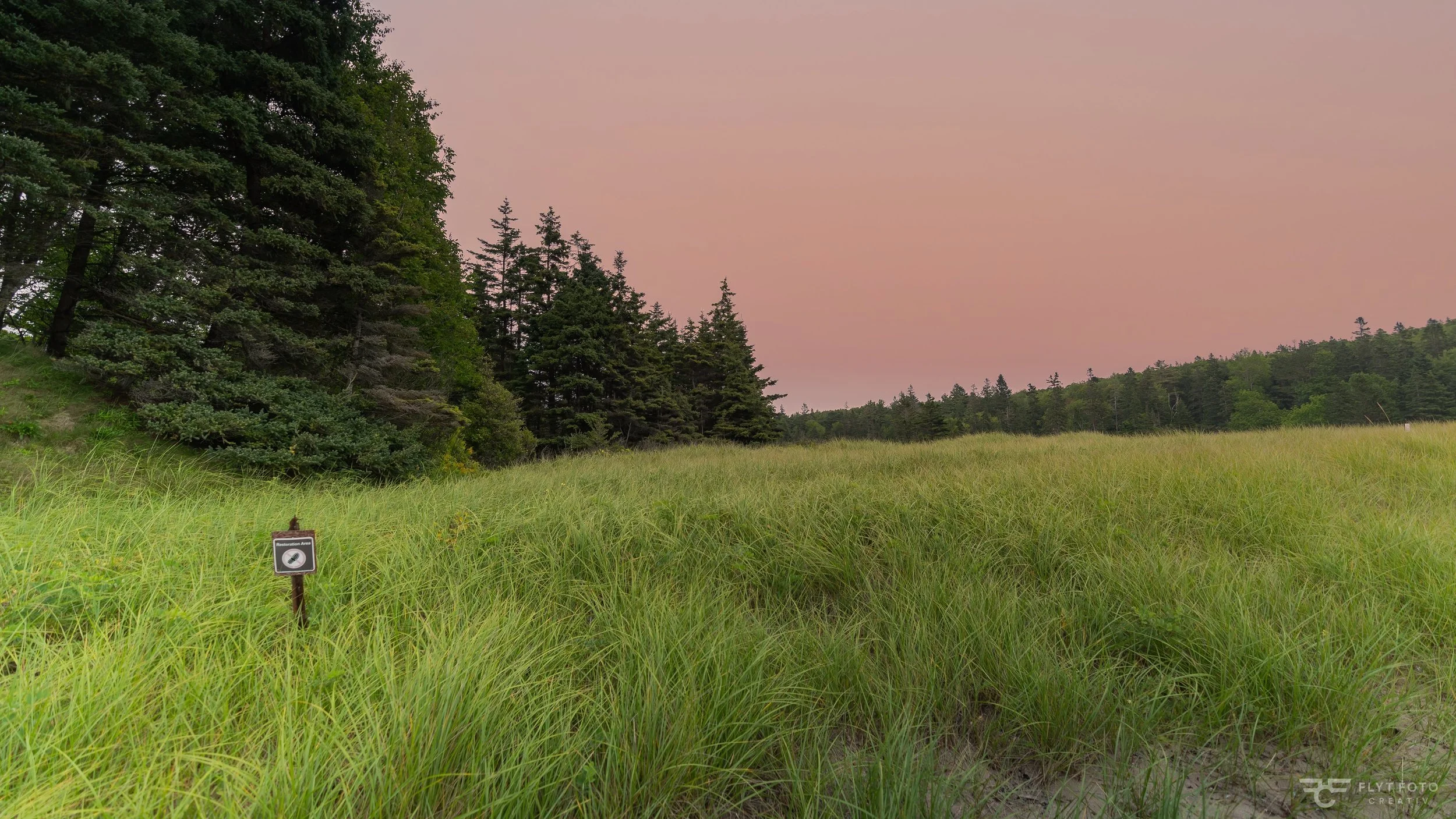 A photo of the nearby trees and fields at Sand Beach in Mount Desert Island