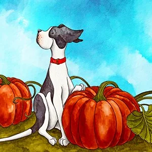 Fall in Love with Autumn