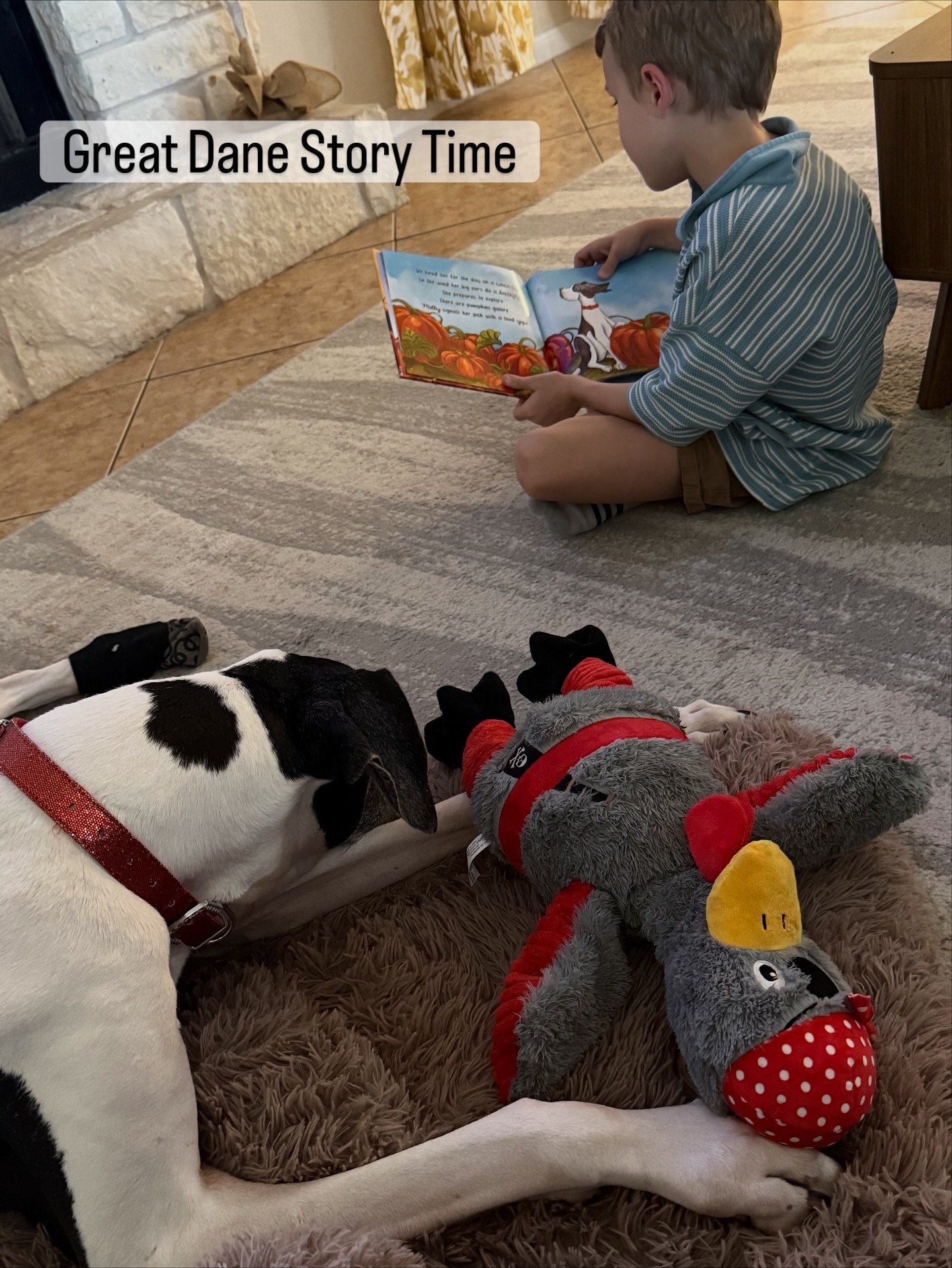 Who knew? Great Danes love to grab their current favorite plushie and unwind with a story too. This book is Milly-approved (maybe because she&rsquo;s the main character?). Special thanks to the young reader sharing &ldquo;A Silly Milly Fall&rdquo; al