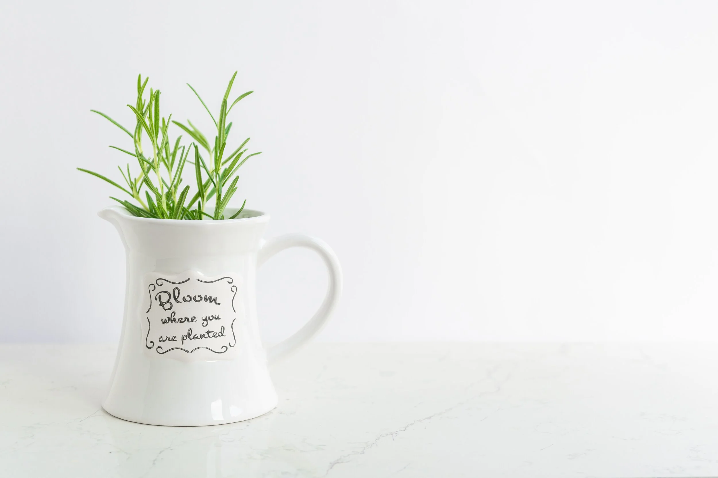 A Place Of Flourishing