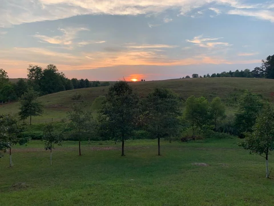 God’s Creation Speaks Of God