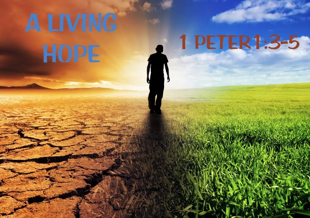 The Living Hope of Resurrection