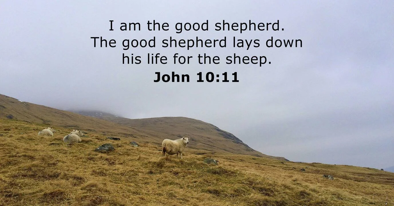 Jesus - The Good Shepherd