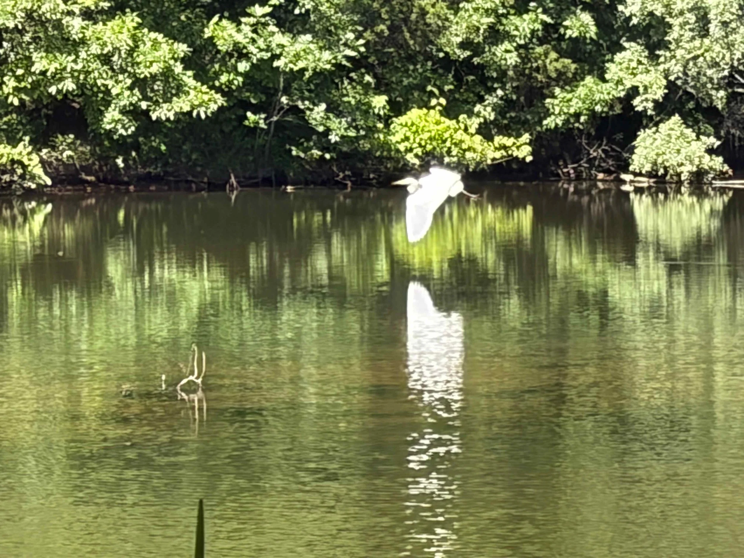 Mirror Lake