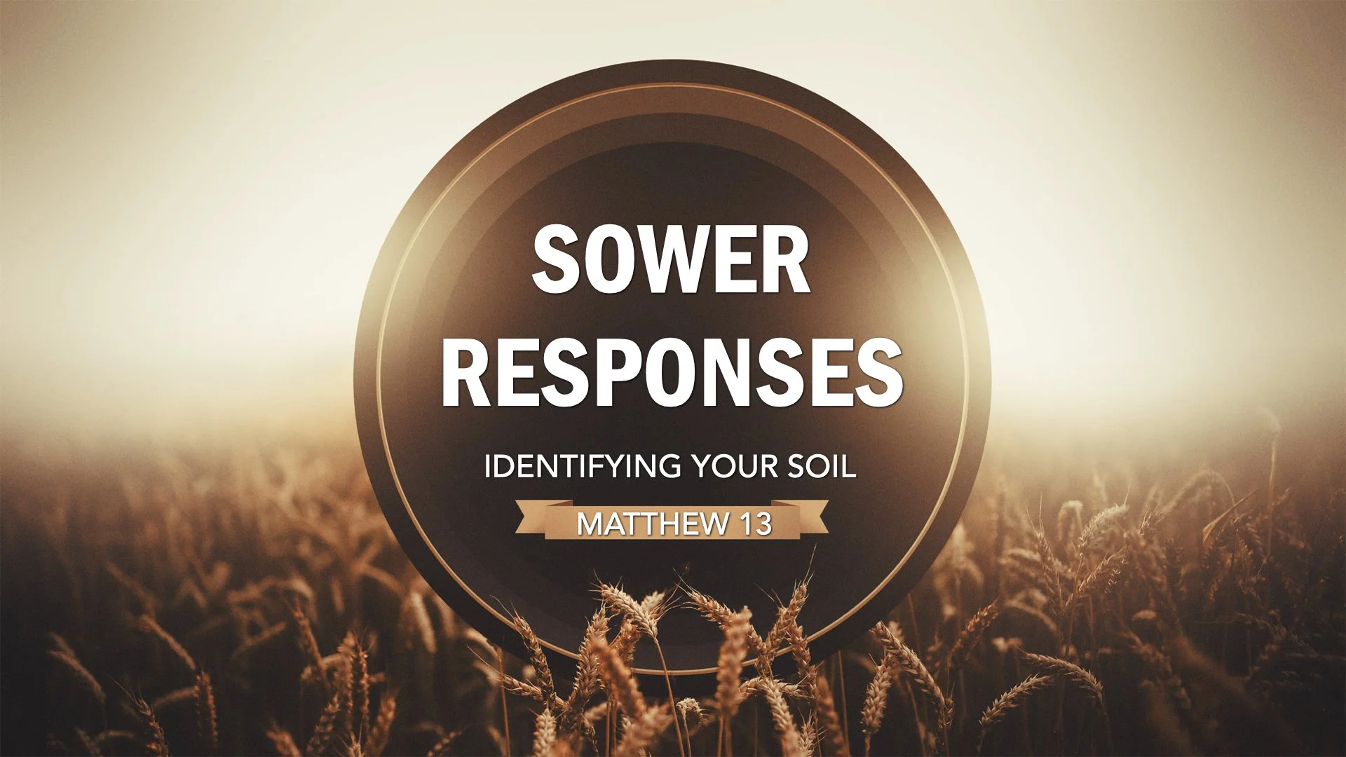 Good Soil and a Fruitful Life