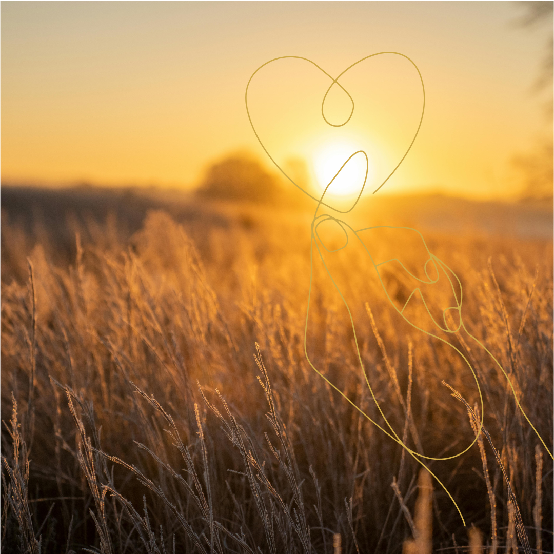 Radical Self Love: An Afternoon Workshop Retreat