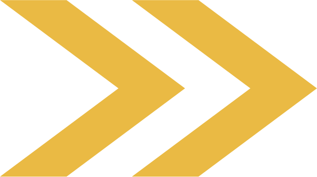 RISE Model for Meaningful Feedback