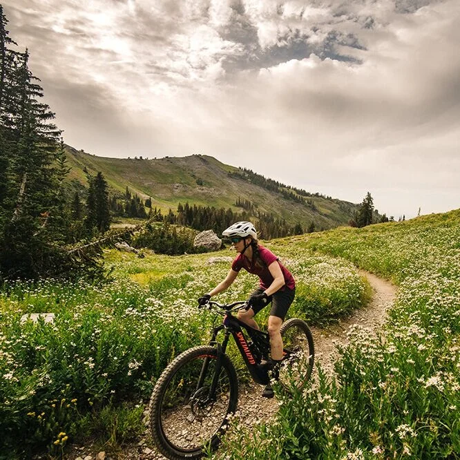 Push 'n' Pedal Cycles