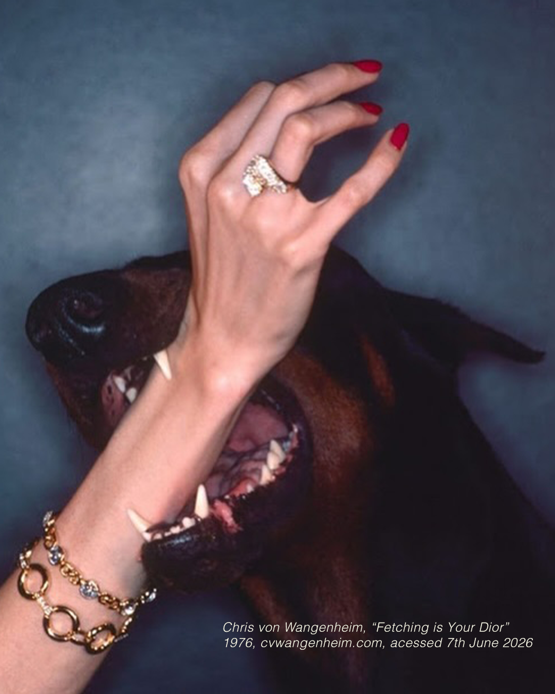 Fetching is your Dior” features supermodel Lisa Taylor posing with Whiskey the Doberman.  Image by Chris Von Wangenheim for Dior circa 1970.