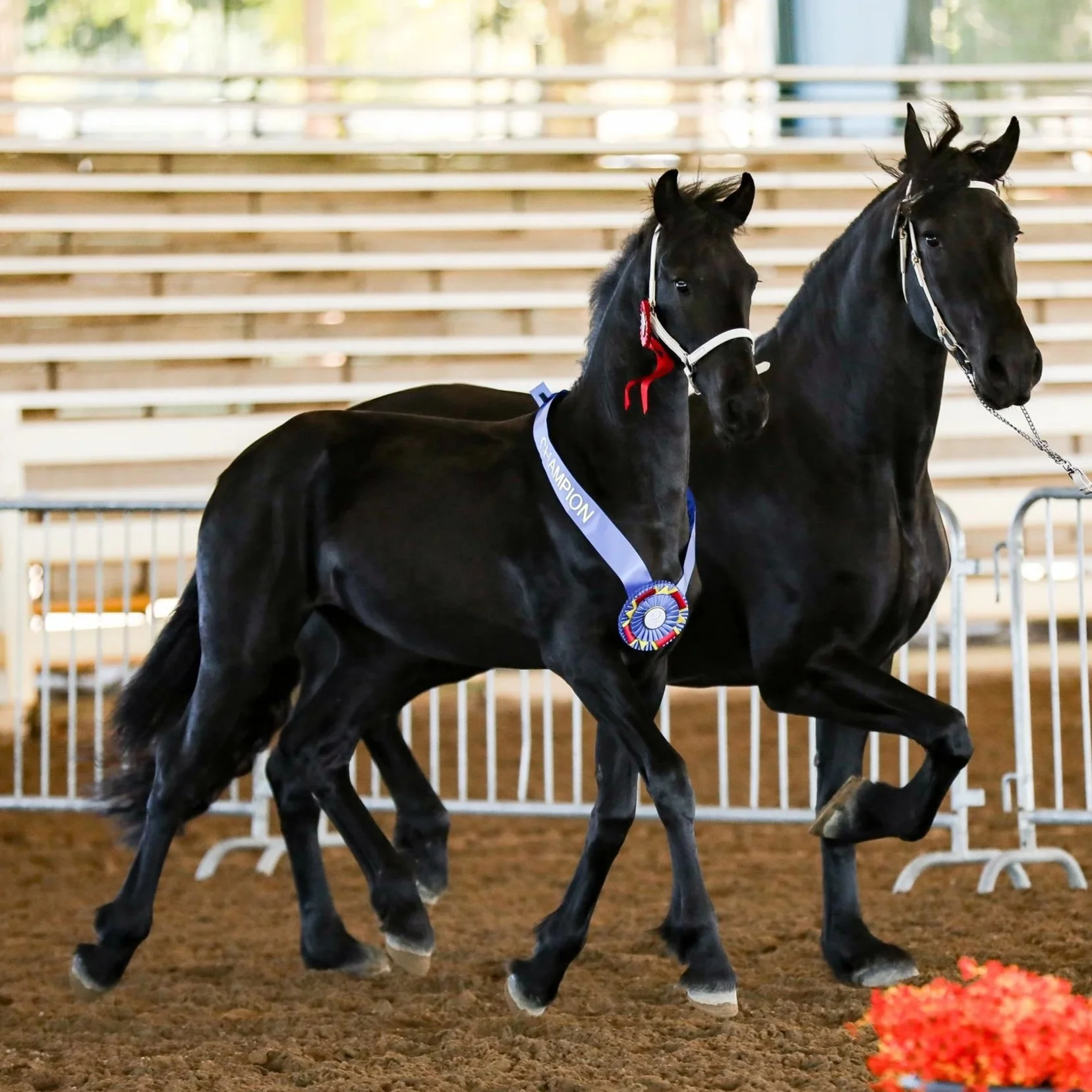 SMF_3398.jpg