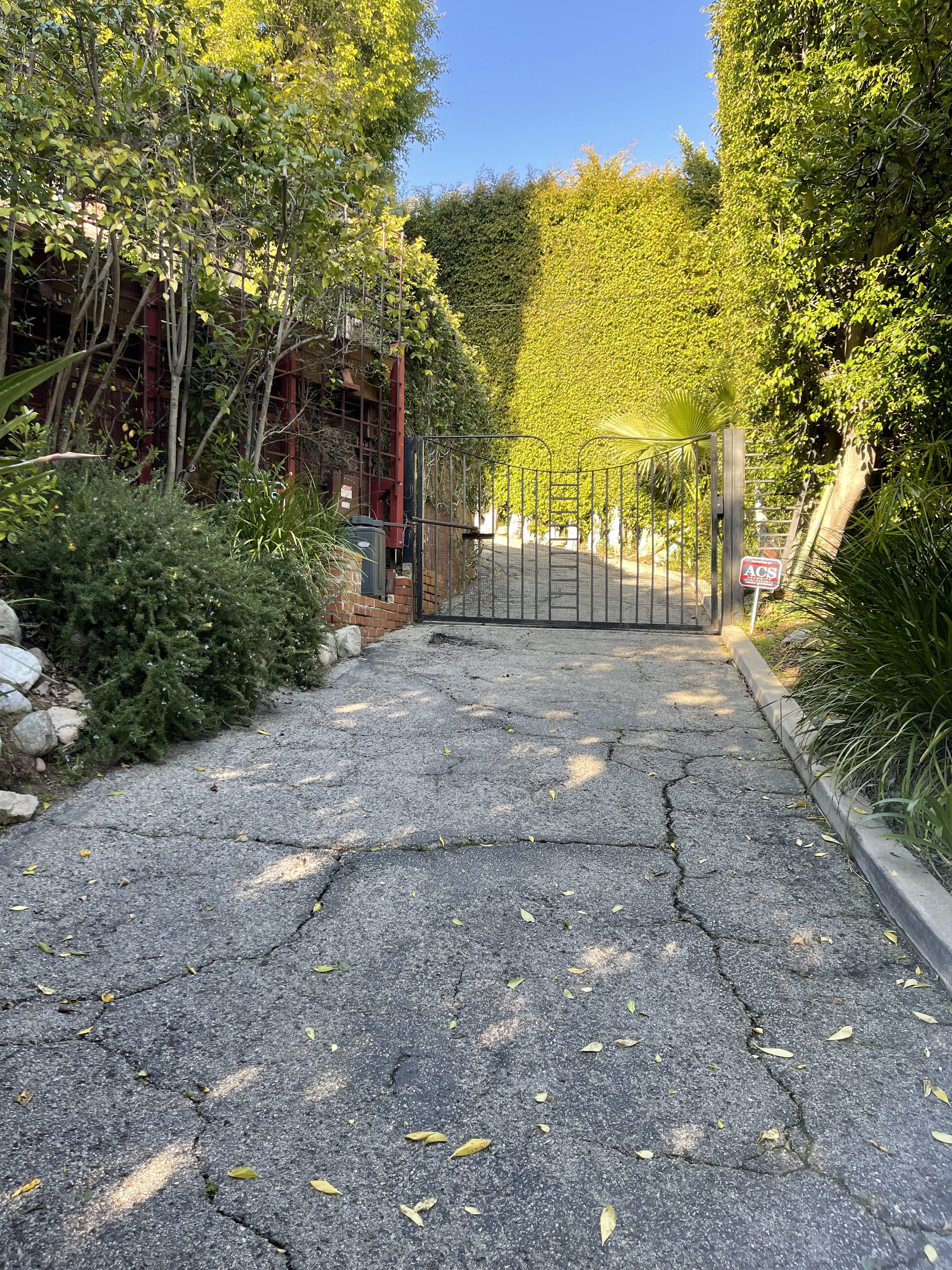 IMG_9503.jpeg