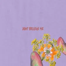 Nikki Fish - Don't Believe Me (Mixer)
