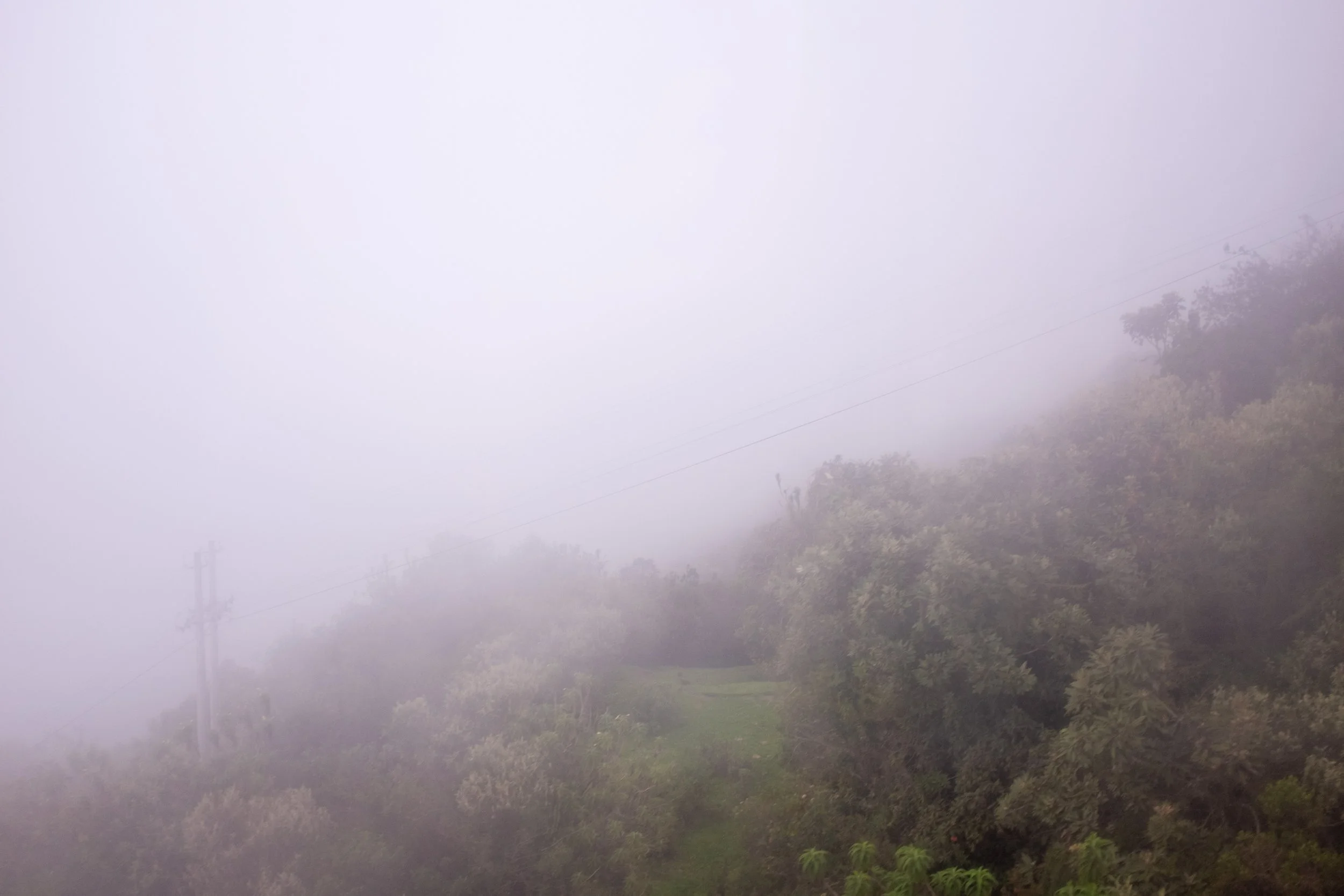 fog1.jpg