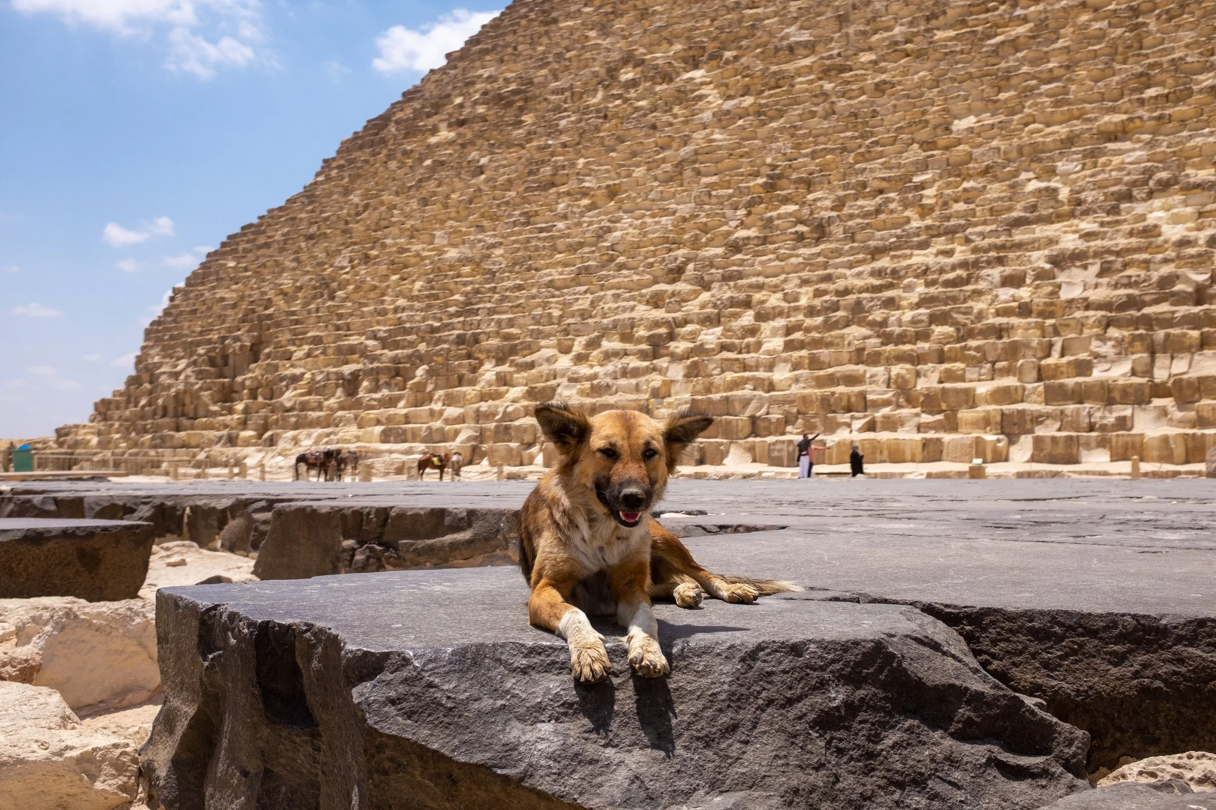 Cairo.jpg