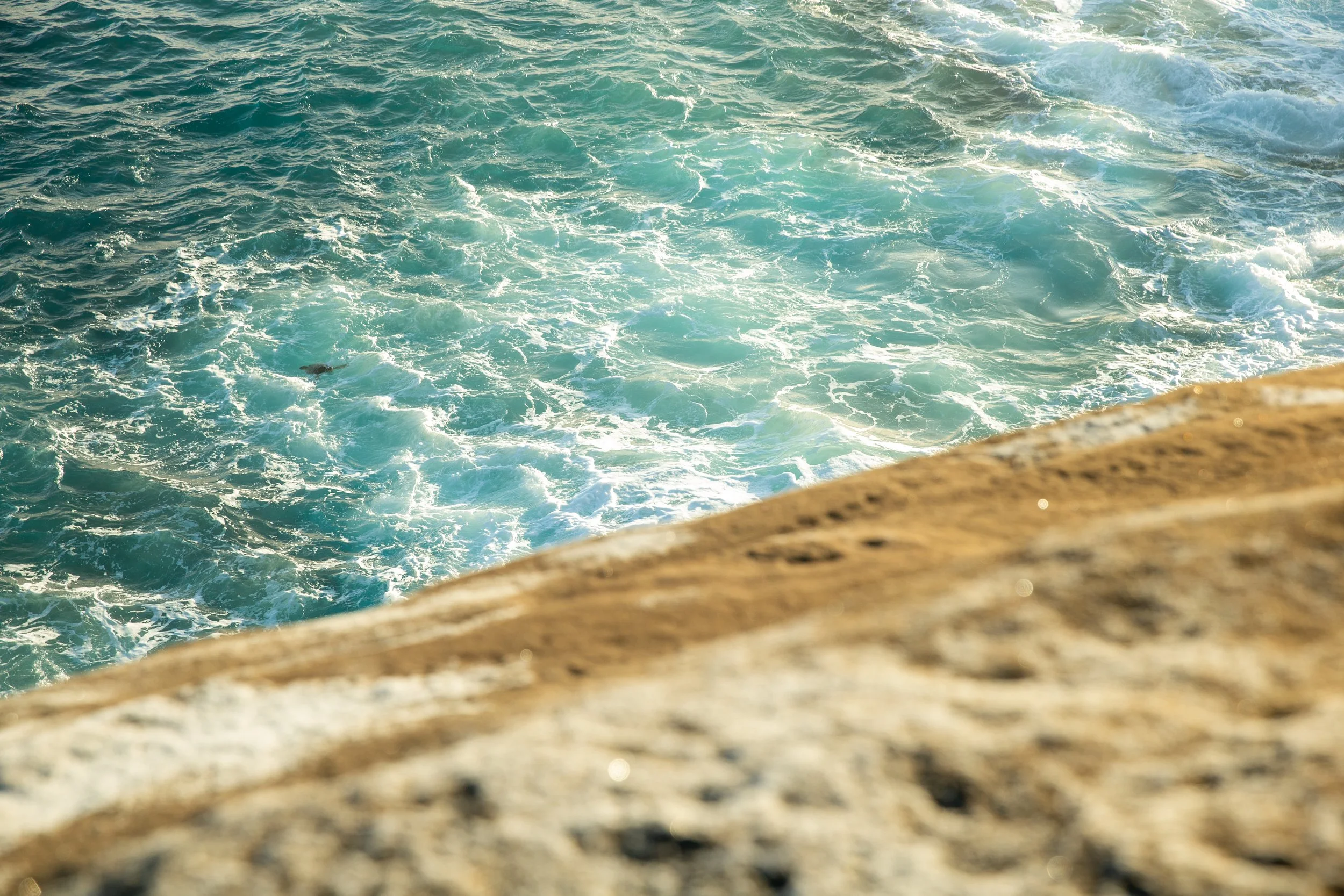 ocean.jpg