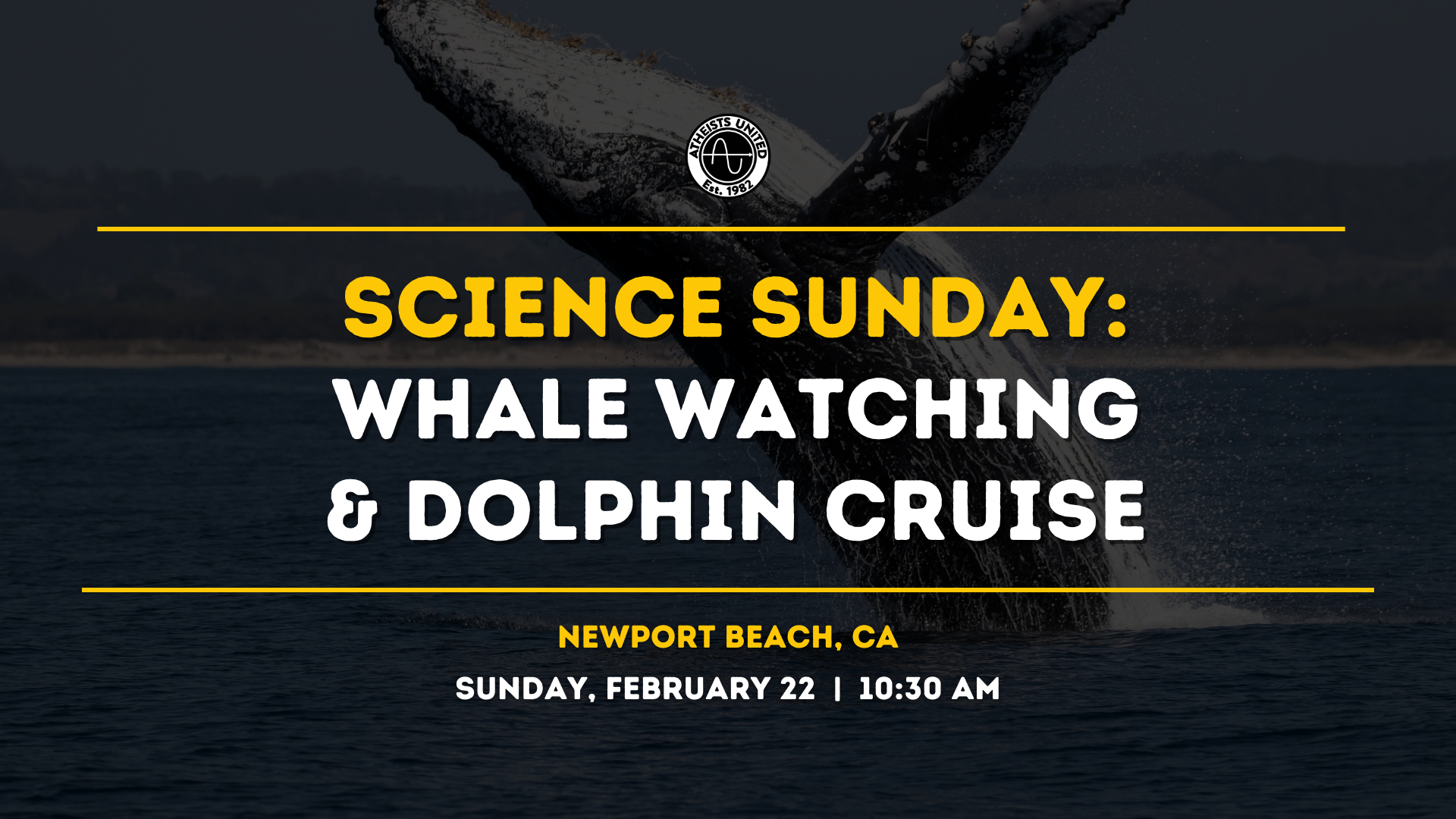 Science Sunday: Whale Watching &amp; Dolphin Cruise