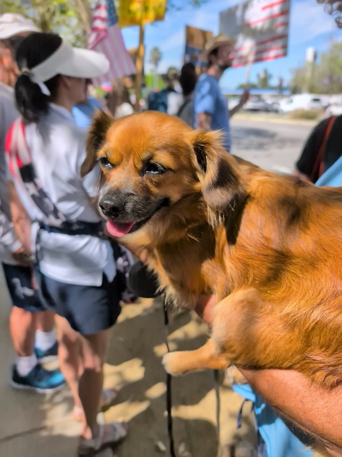 Watch: Atheists United campers detour to local No Kings protest