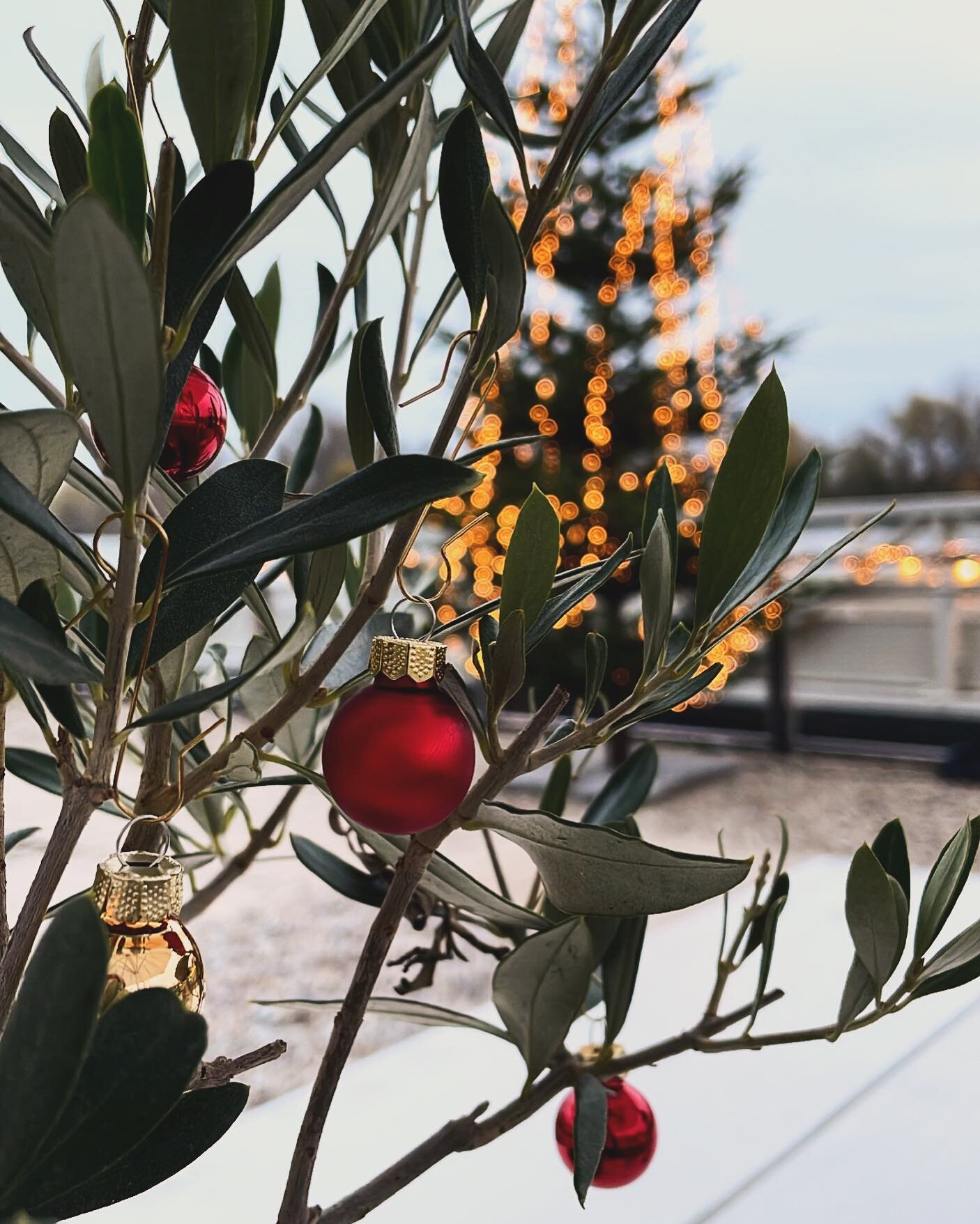 Wir w&uuml;nschen euch einen sch&ouml;nen zweiten Advent 🎄🎅🏼