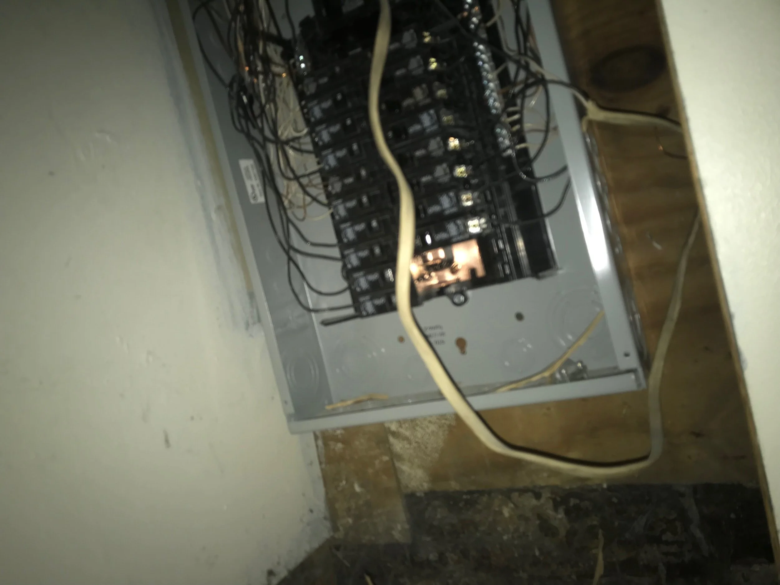 IMG_1508.jpeg