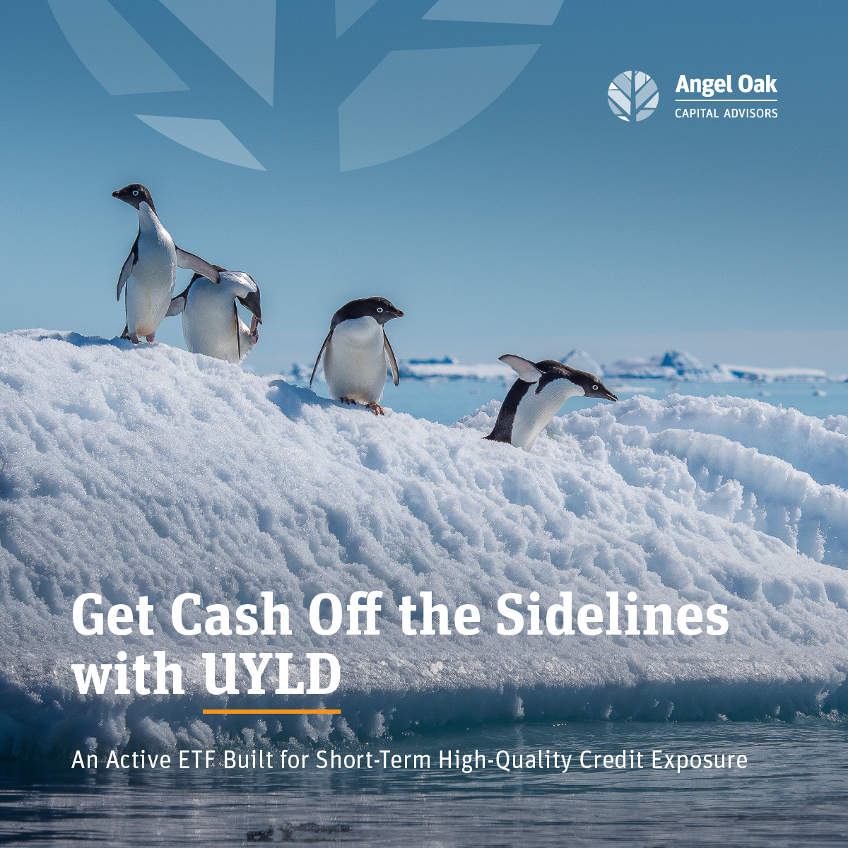 AOCA_UYLD-Linkedin-Ads-v3.2_Artboard 2.png