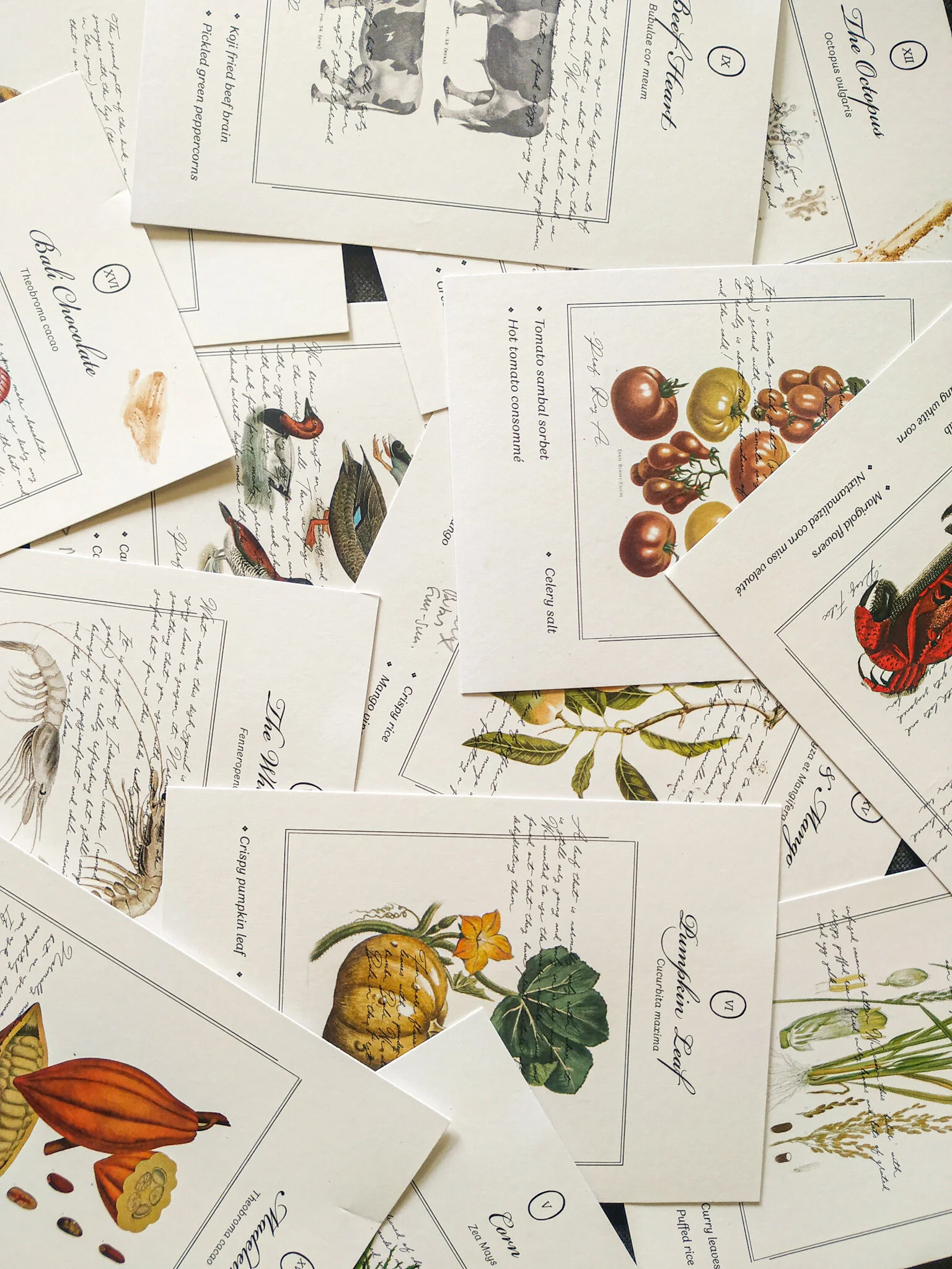 Kartu menu Locavore NOW