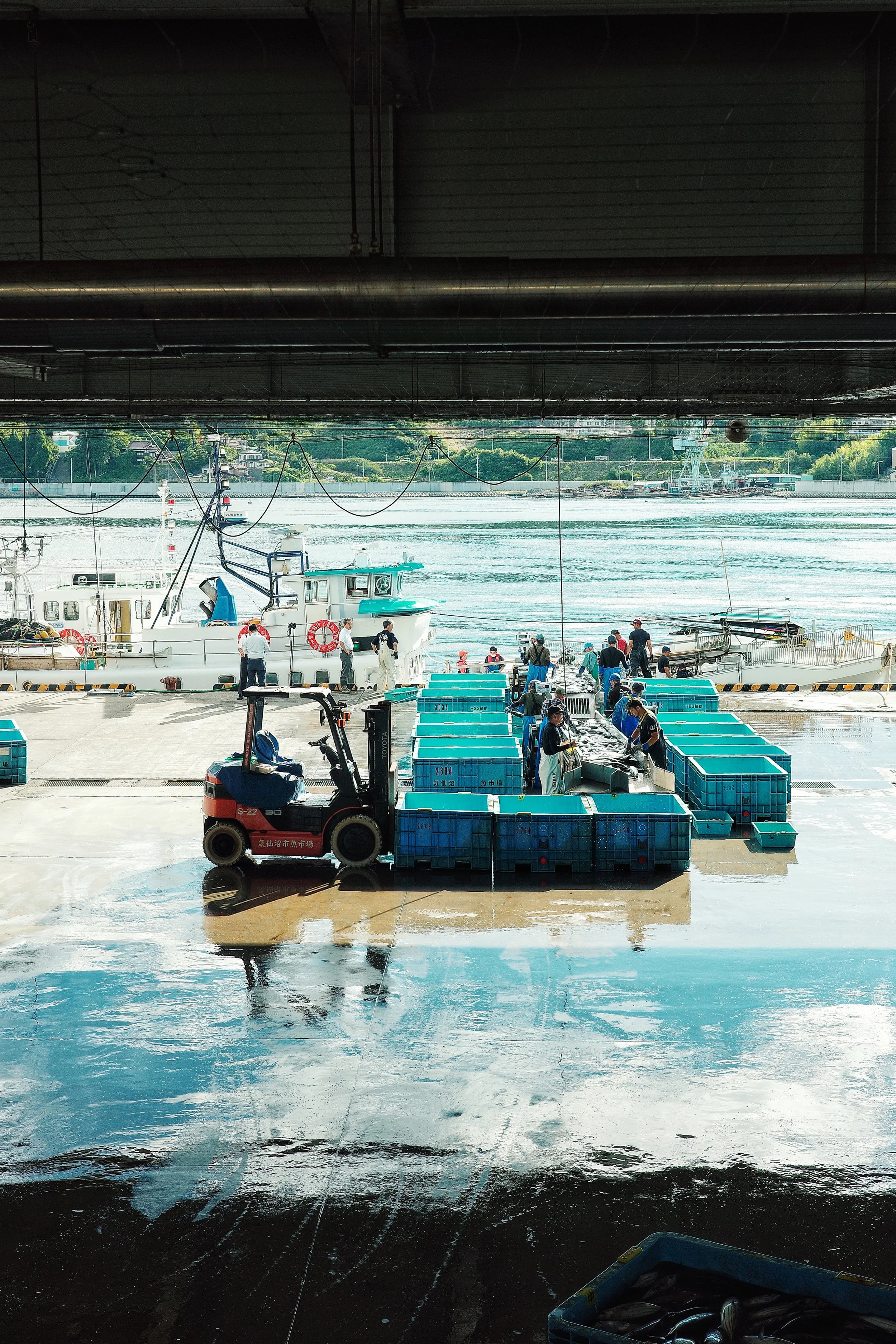Laut dan Tradisi yang Membentuk Budaya Makan Kesennuma