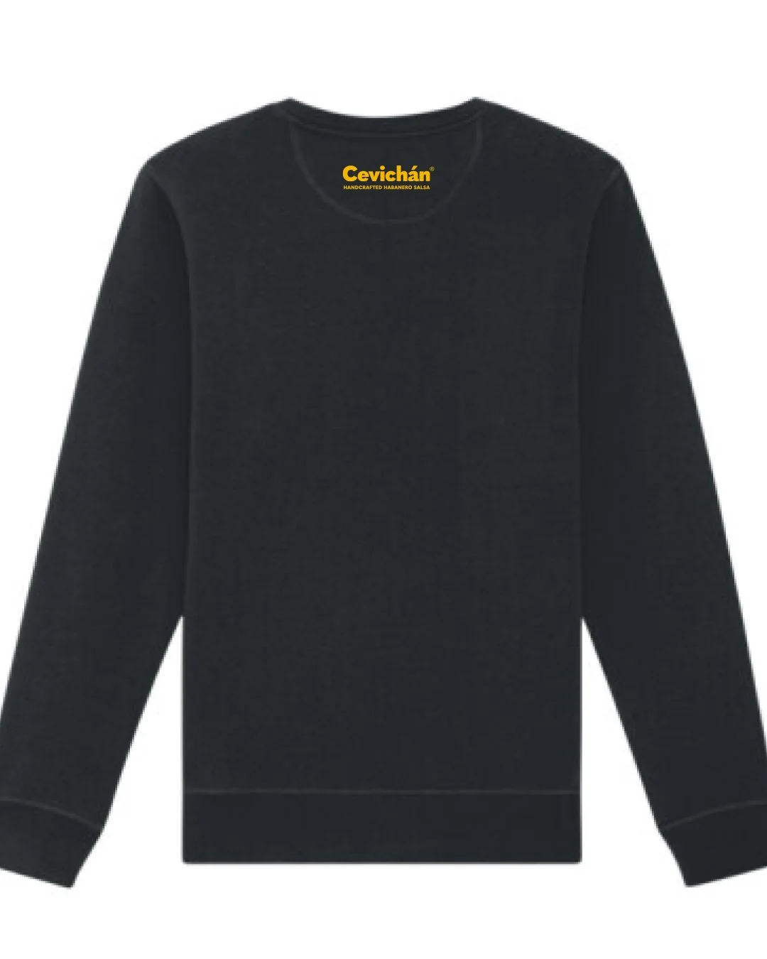 CVCHN_pullover_cevichan_merch_back.jpg