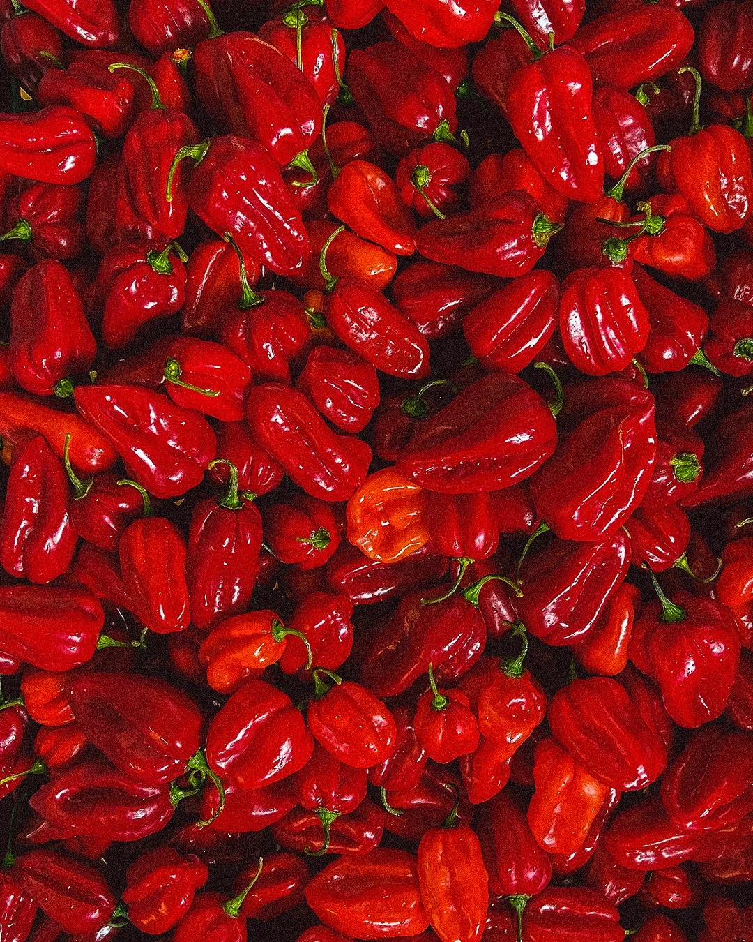 rojo_habaneros.jpg