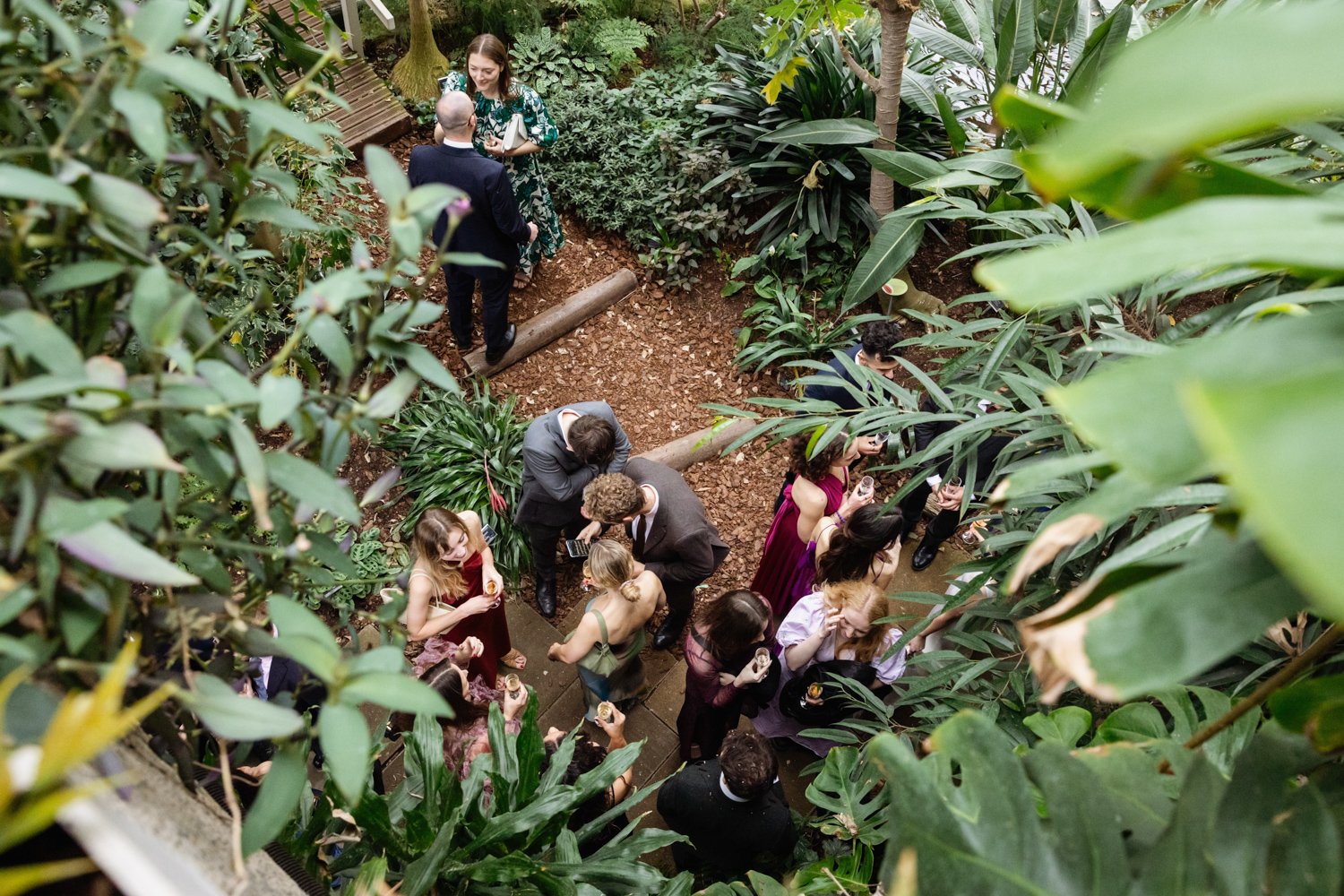 Aerial view of guests mingling during the reception at the Barbican conservatory.