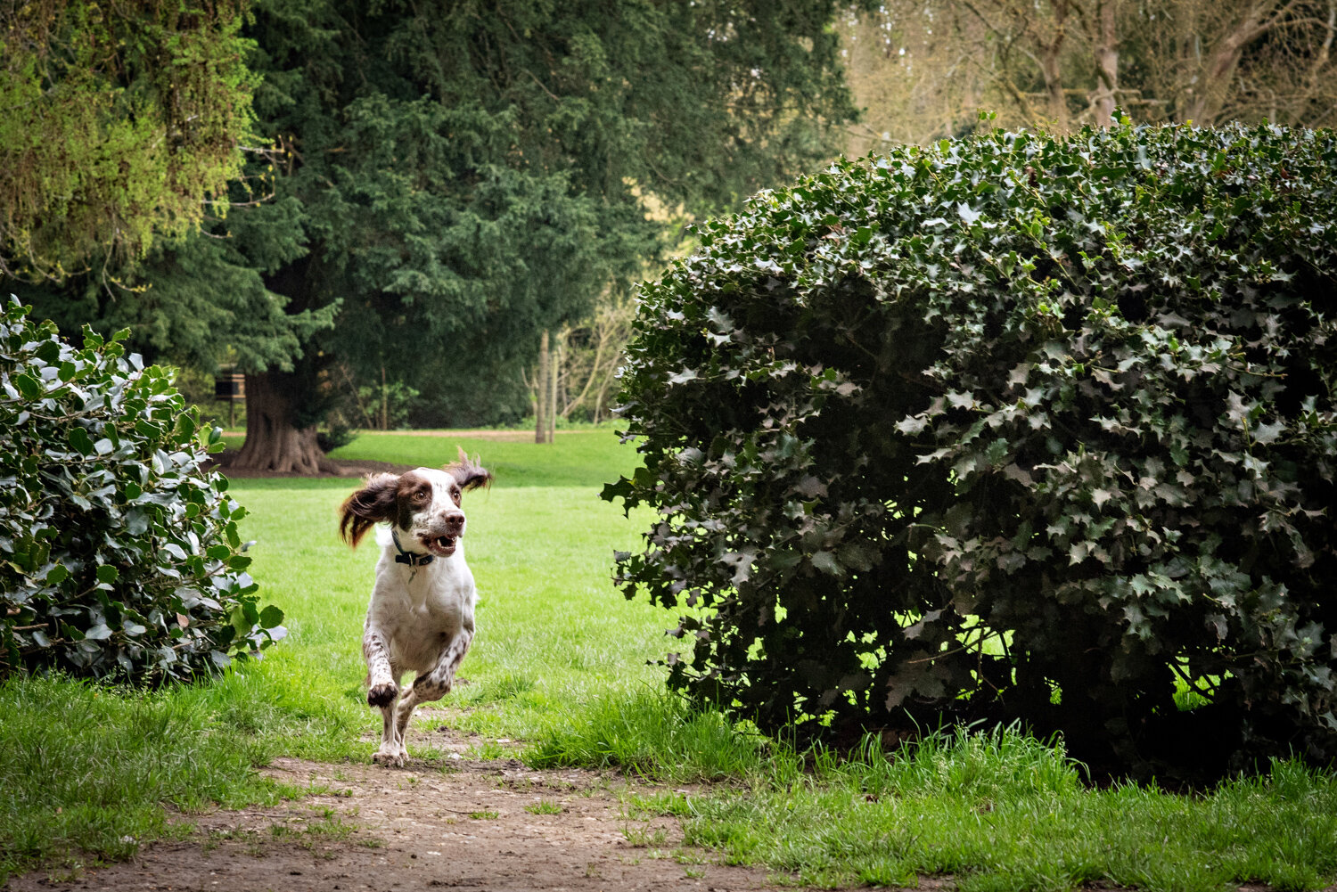 family-photography-chiswick-london-15.jpg