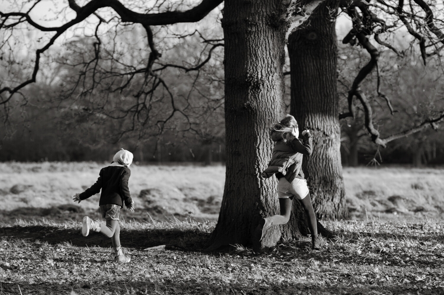 winter-light-family-photographer-bushy-park-15.jpg