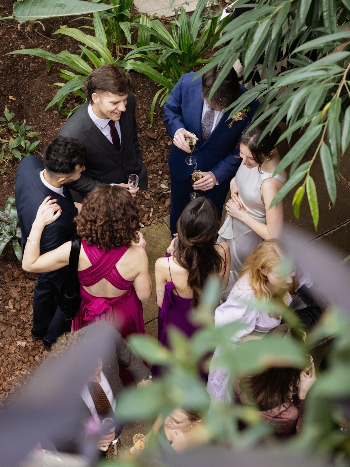 Guests mingling with glasses of champagne in a circle shot from above with foliage around them.