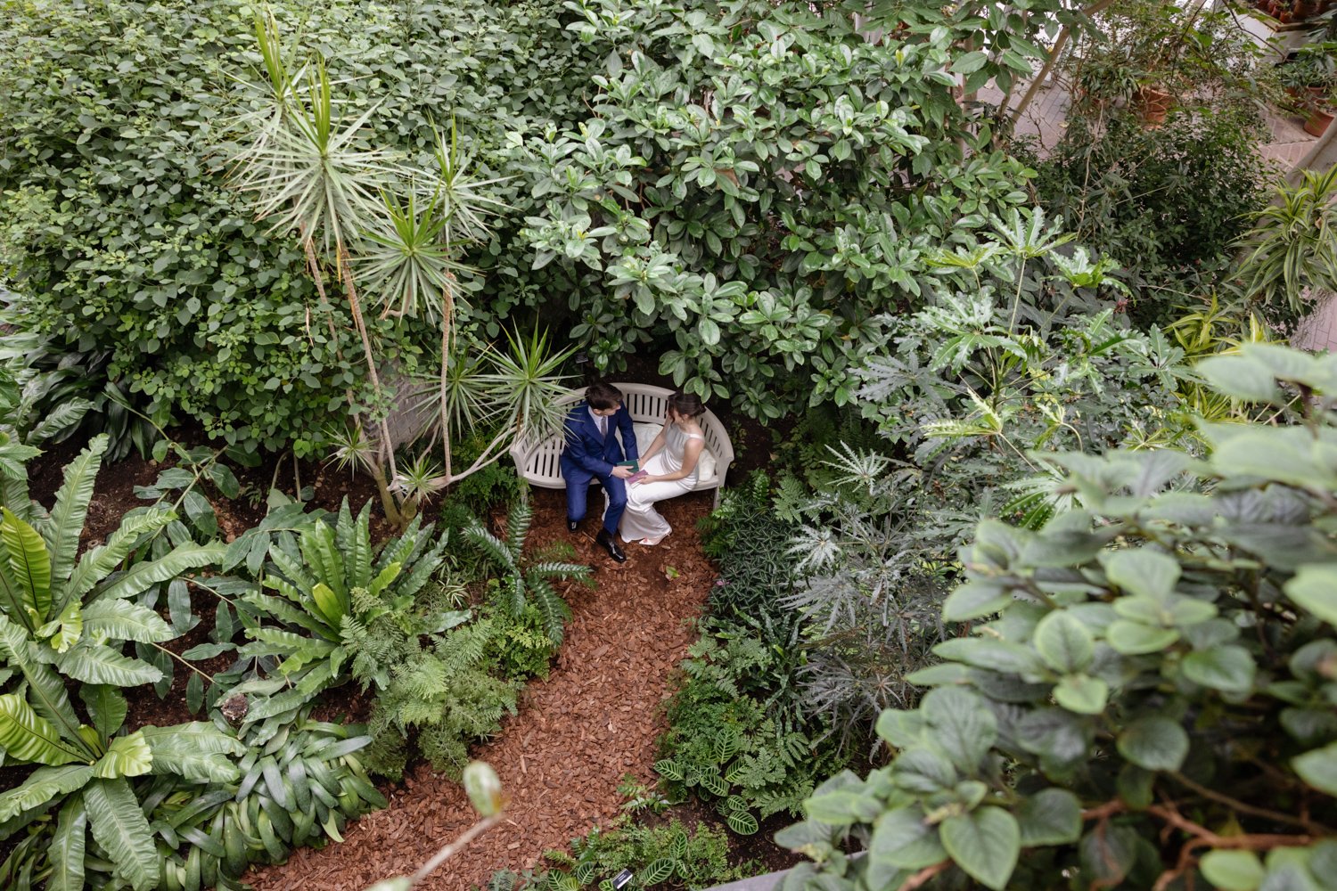 Bride and groom seen from up high sitting together in the Barbican Conservatory on a bench surrounded by greenery.