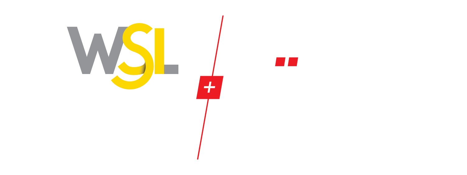 WSS | SHS HANDLING SOLUTIONS