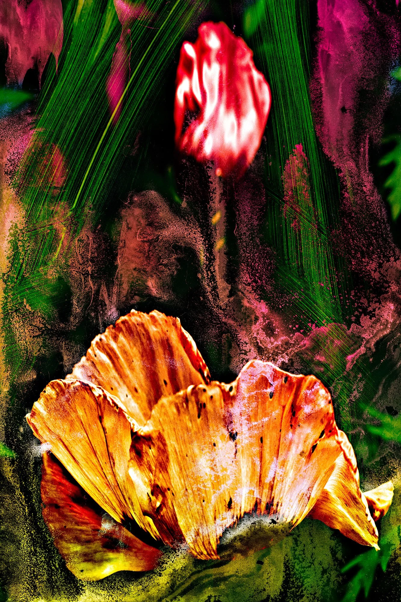 Last Garden #17 (18/24)