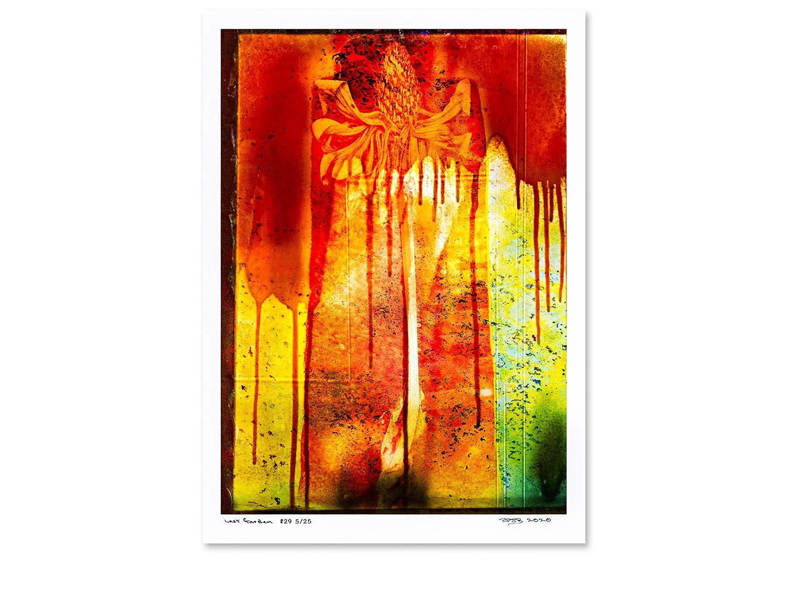poster-lg-29-2.jpg